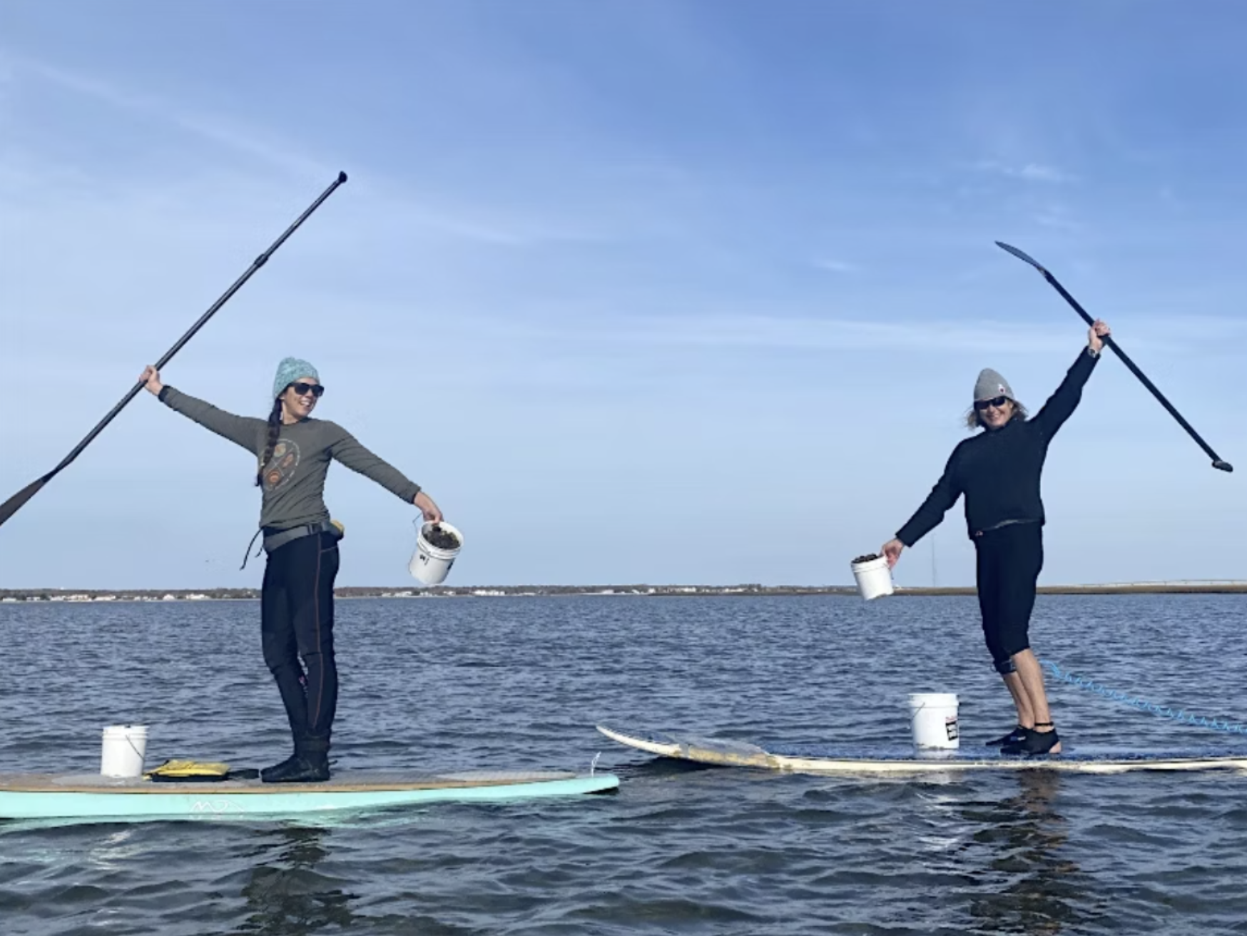 Live, laugh, plant oysters!