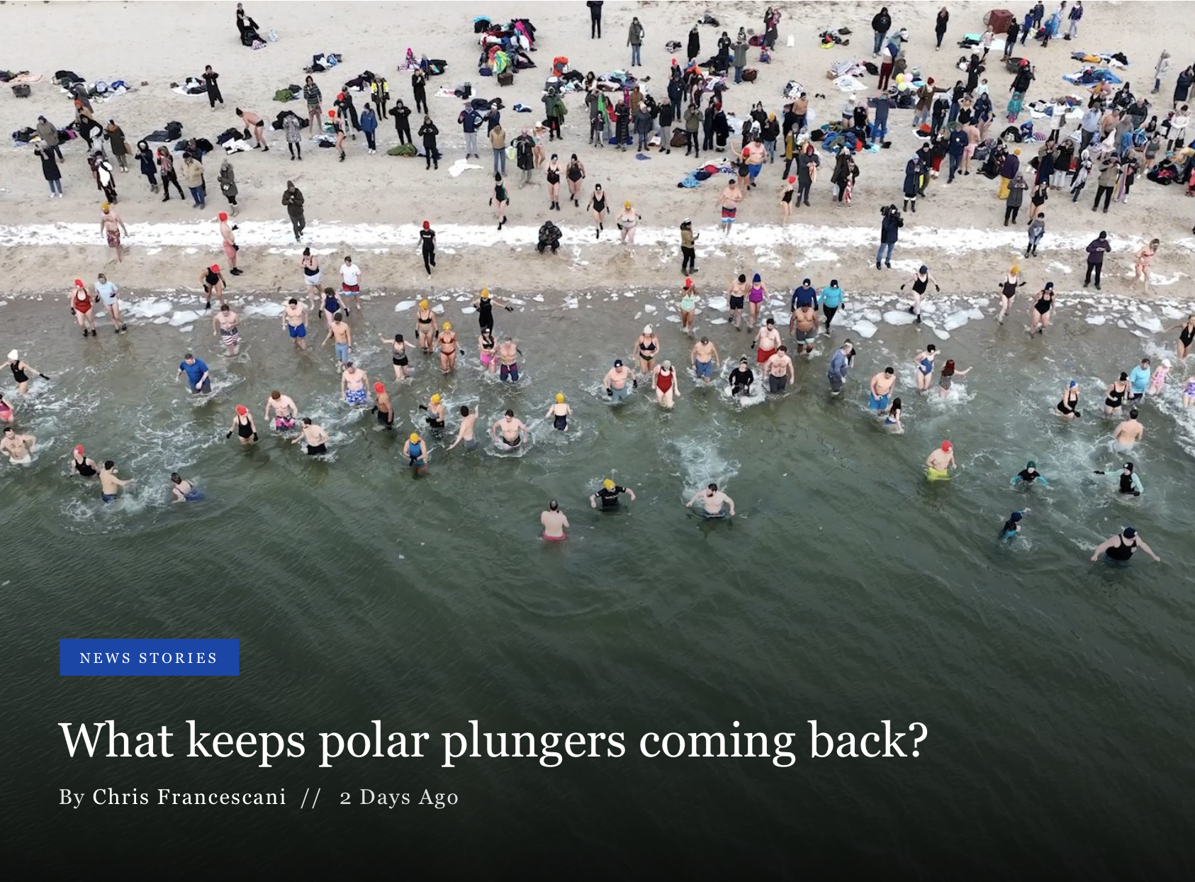 What keeps polar bear plungers coming back? 