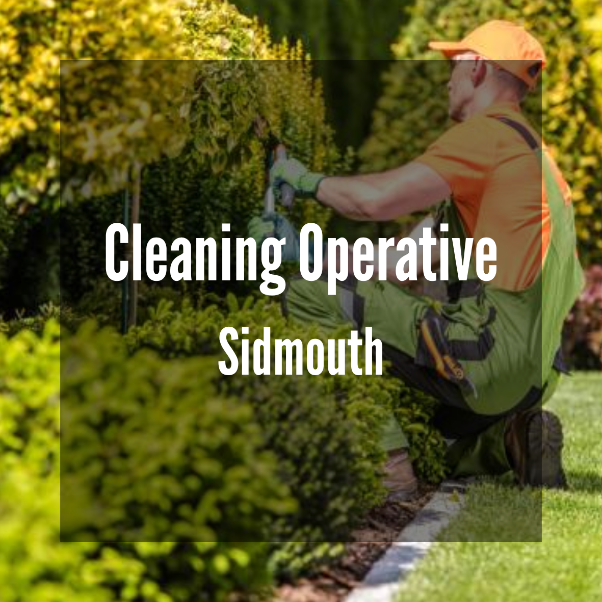 Cleaning Operative