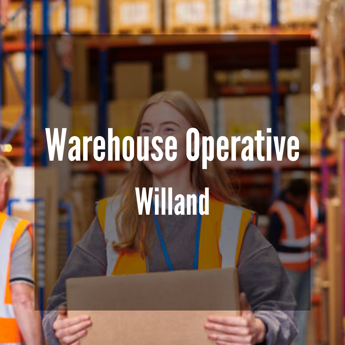 Warehouse Order Picker / Packer