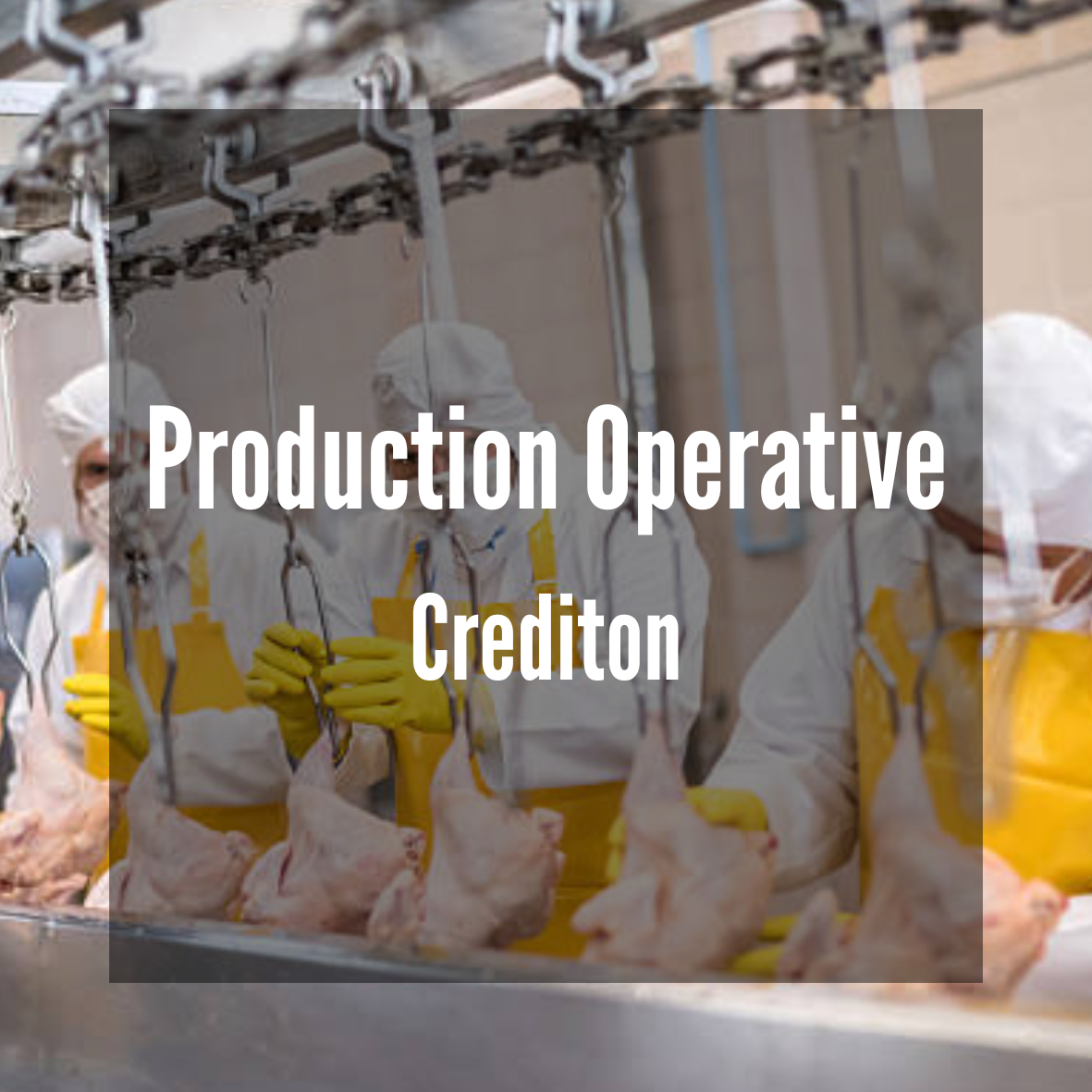 Production Operative (Poultry Processing)