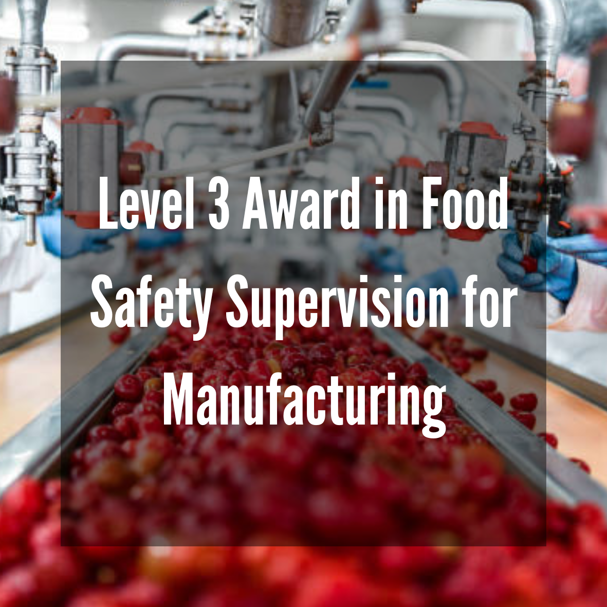 Level 3 Award in Food Safety Supervision for Manufacturing (RQF)