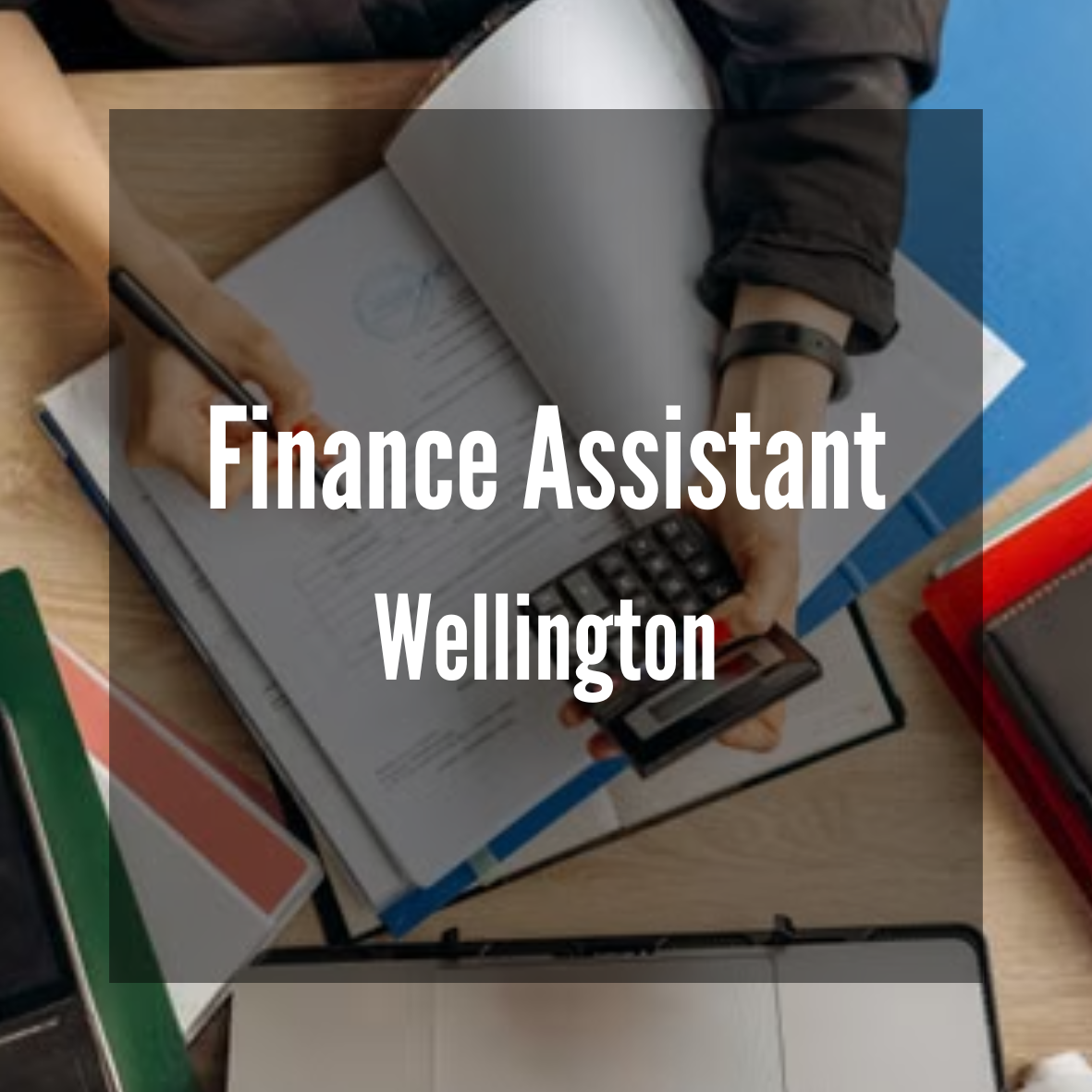 Finance Assistant