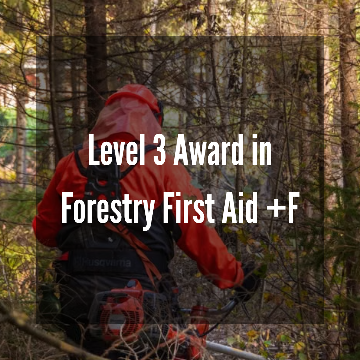 Level 3 Award in Forestry First Aid +F (RQF)