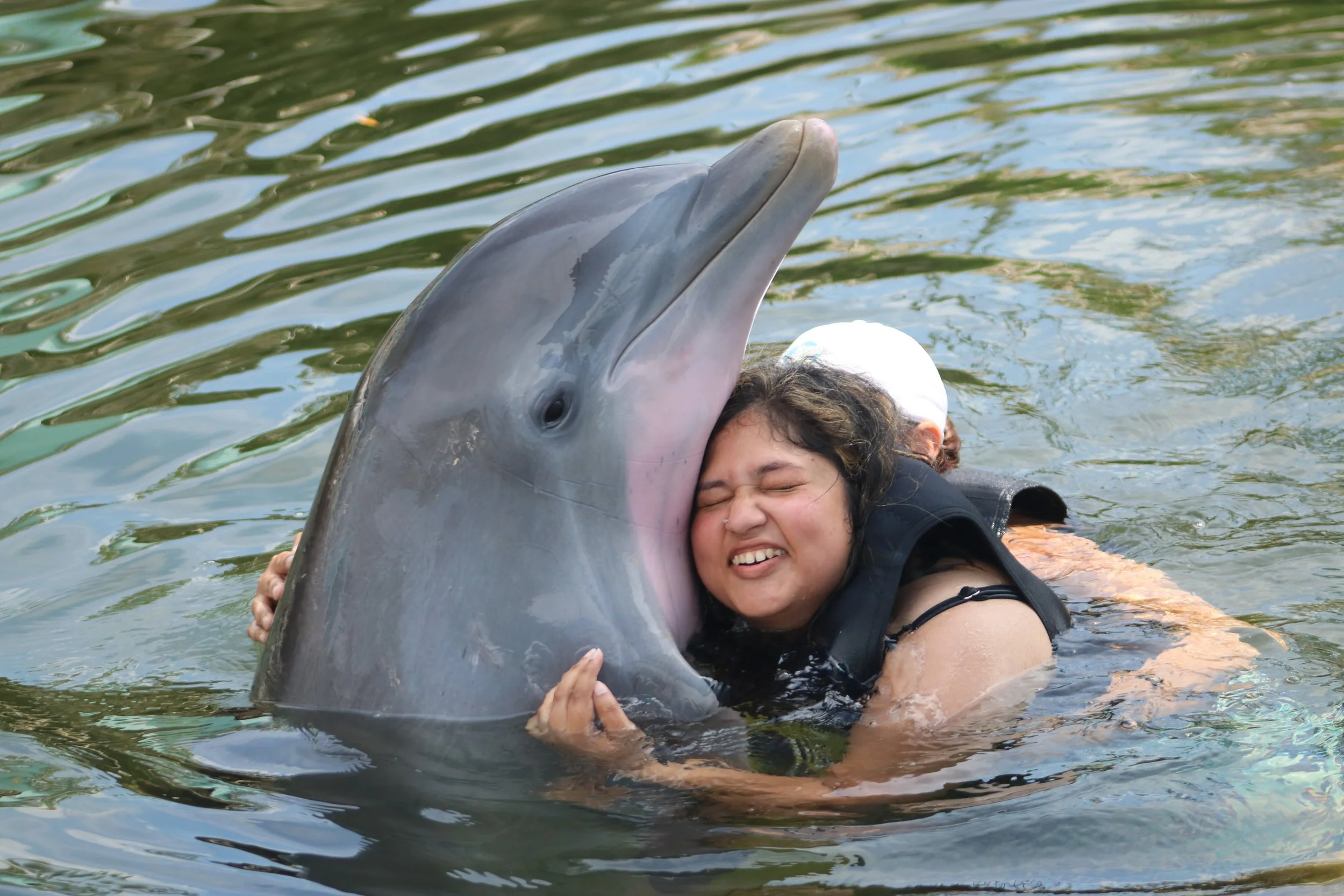 Wheelchair Travel in Key West: 5 Cool & Accessible Experiences