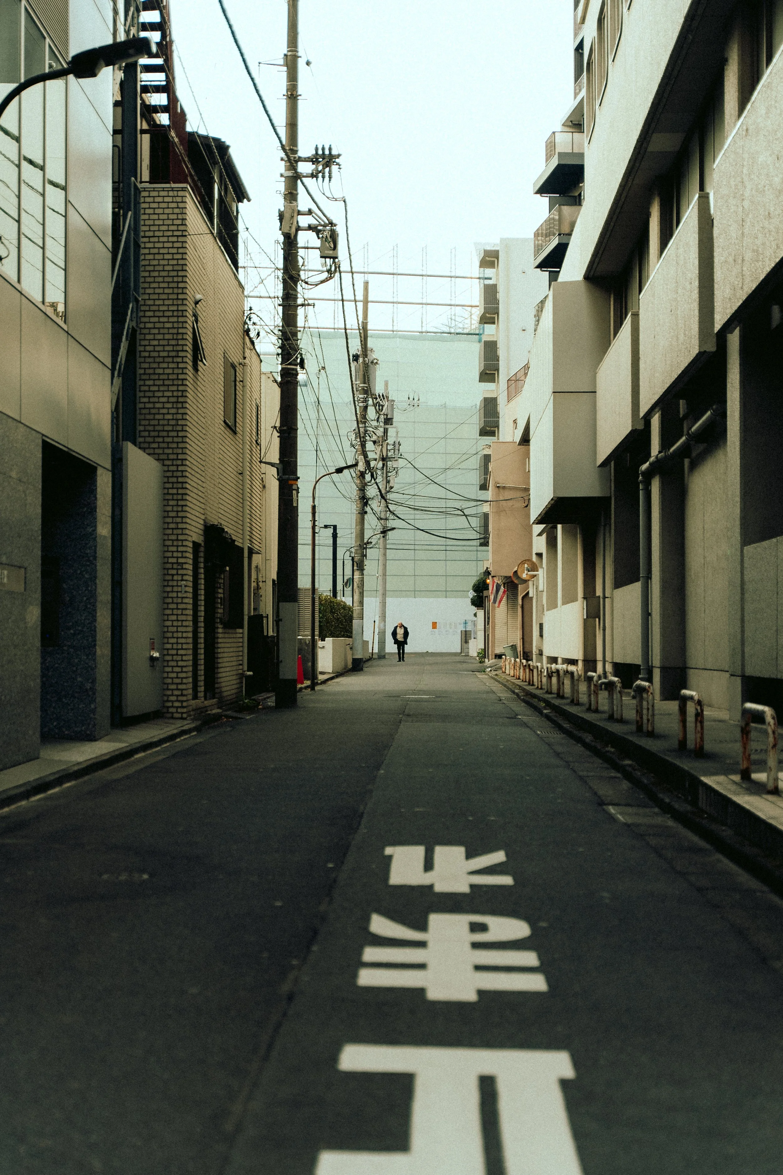 DSC04048.jpg