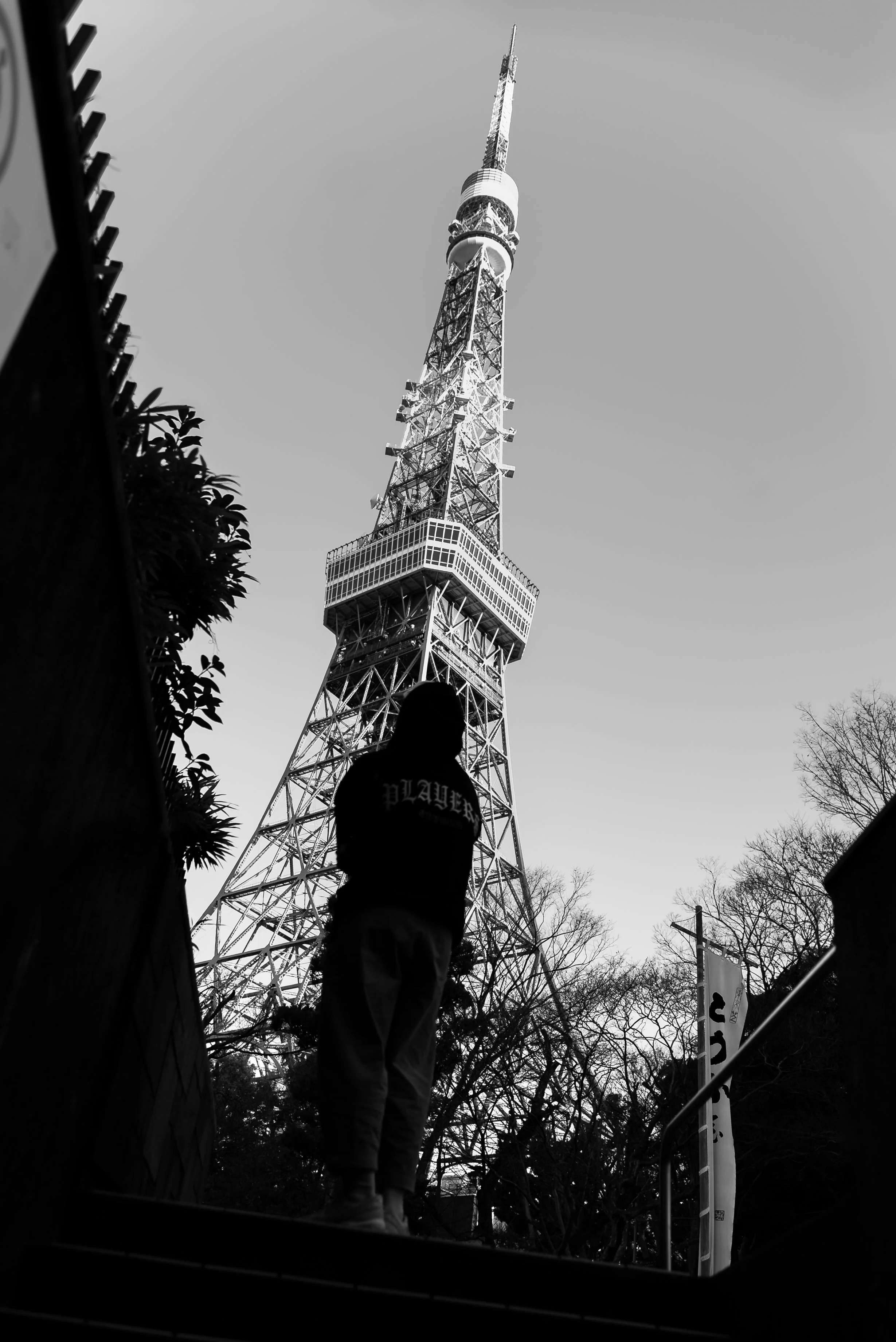 IMG_7429_TIF-Enhanced-NR.jpg