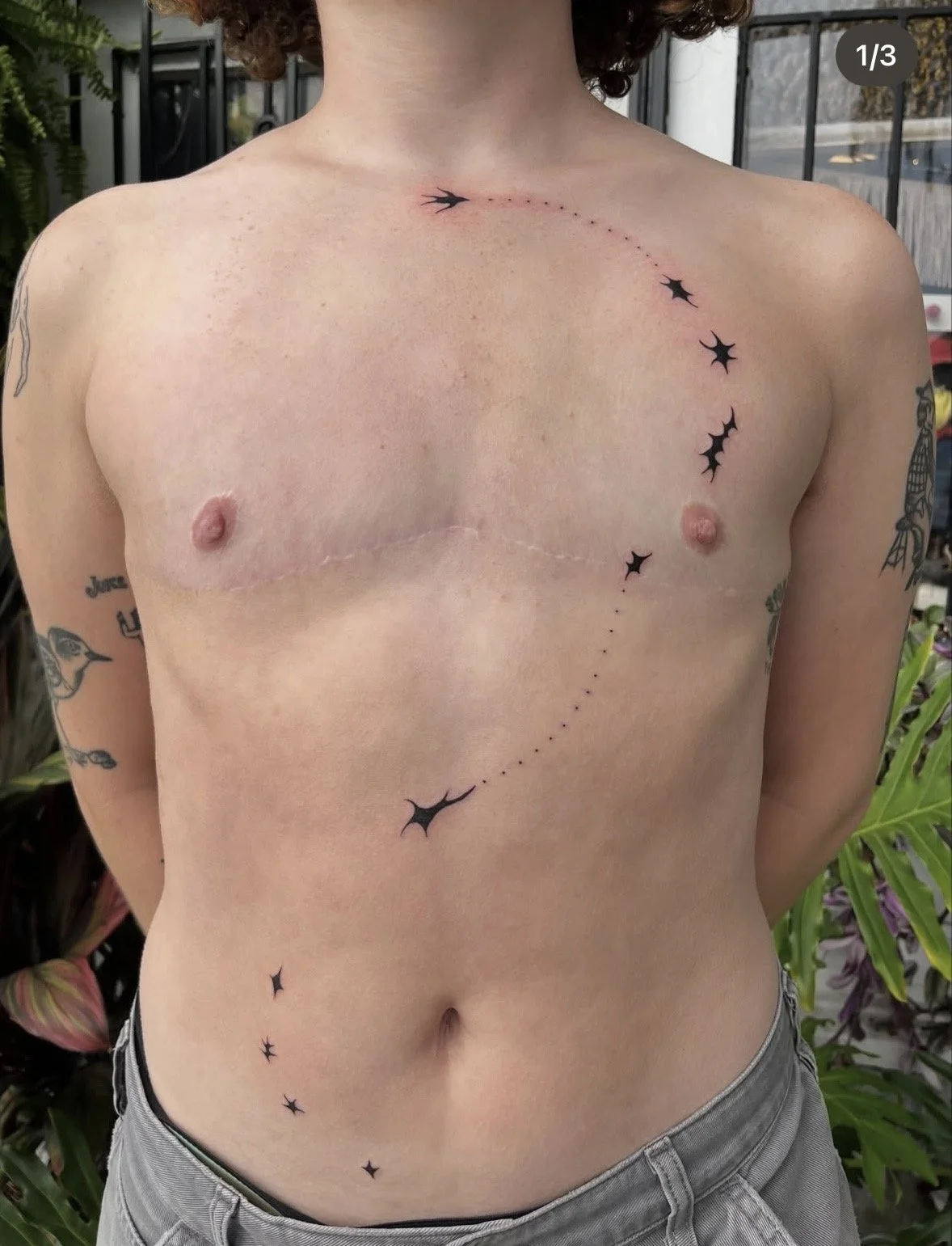 A shirtless person with tattoos on their arms and torso, displaying a constellation-themed tattoo on their chest and abdomen, with a background of green plants and a deck railing.