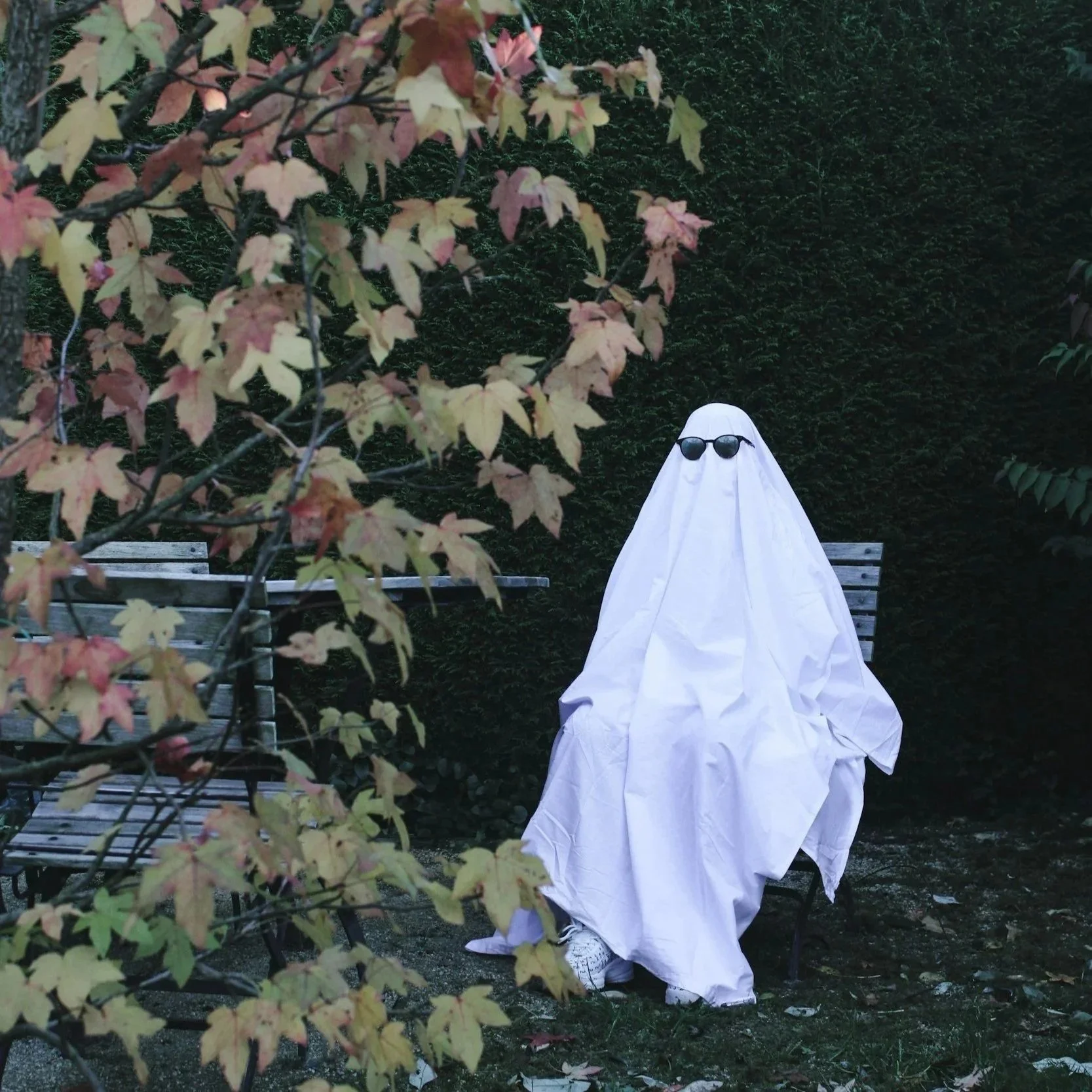 YA Books for Spooky Season