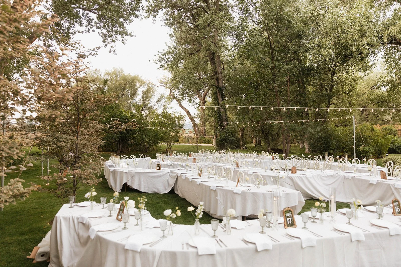 kaileyandwillwedding-96_websize.jpg