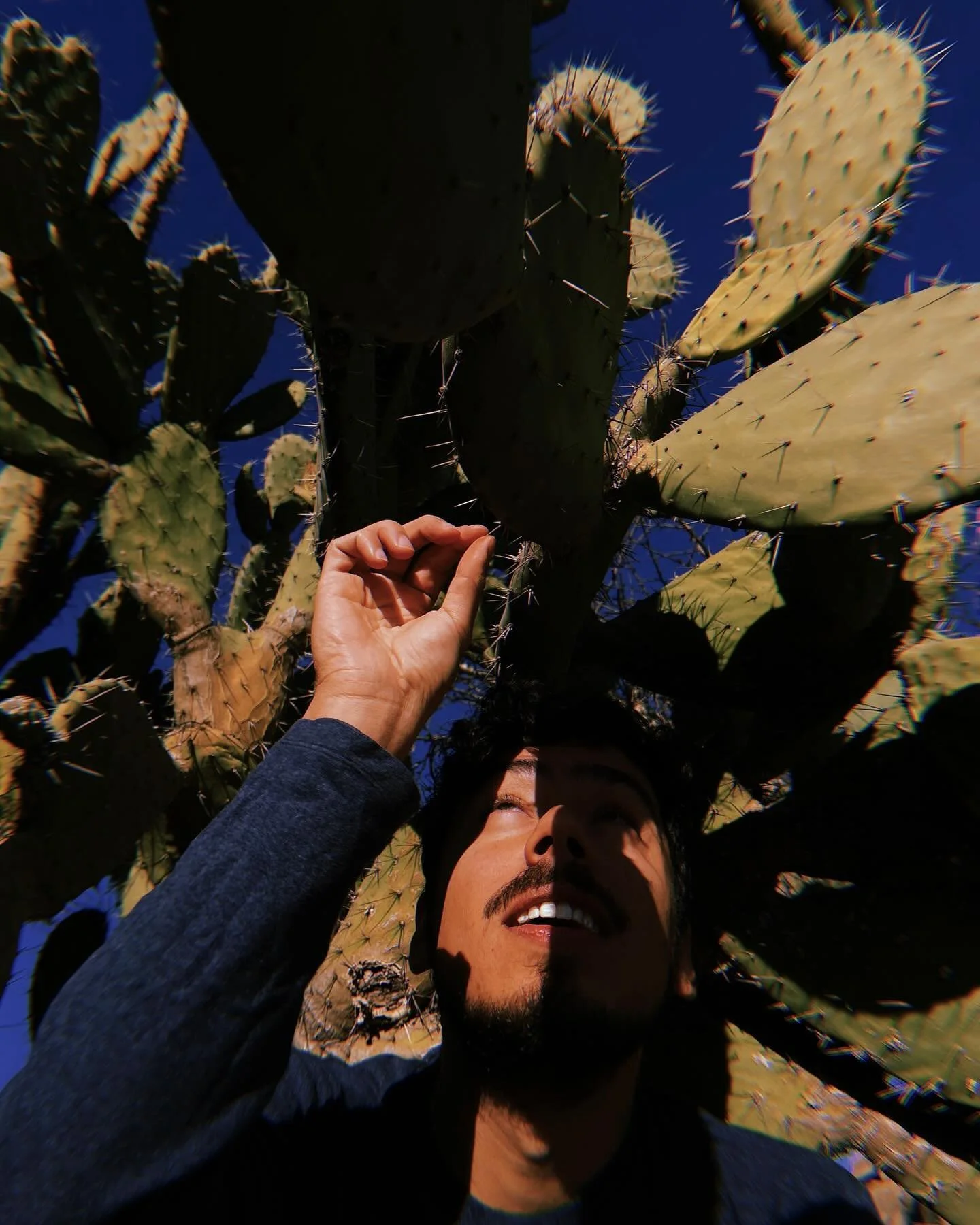 There are still tickets available for next week&rsquo;s show at Rosehill Cemetery! They are going fast, though, so head to the link in our bio and grab yours today. 

We&rsquo;re featuring our good friend Luis Fernando Amaya on this program with his 