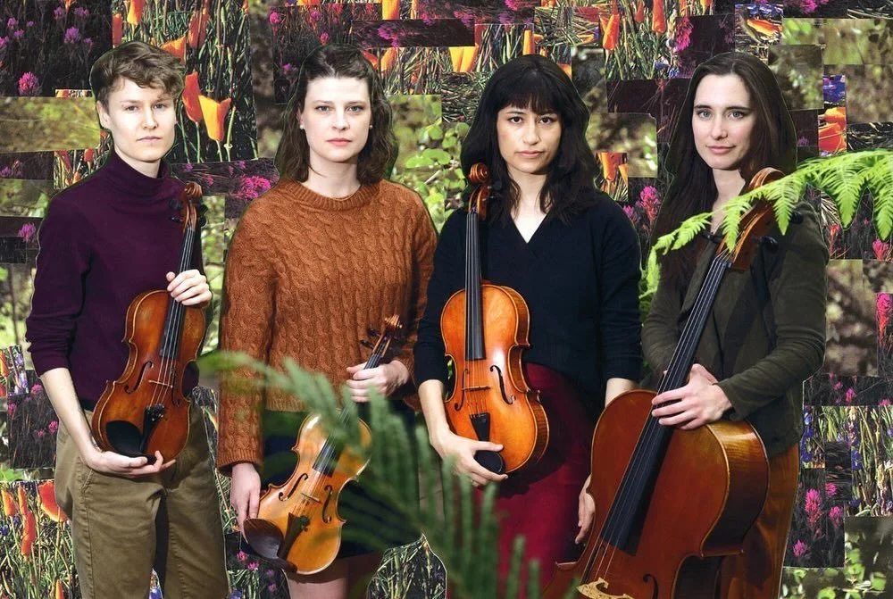 ✨✨Website Launch✨✨

www.varostringquartet.com

After a season of operating via Instagram and our newsletter, we spent the summer working on our website so all of your VSQ info is in one place! Head to the shiny new link in our bio to check it out and