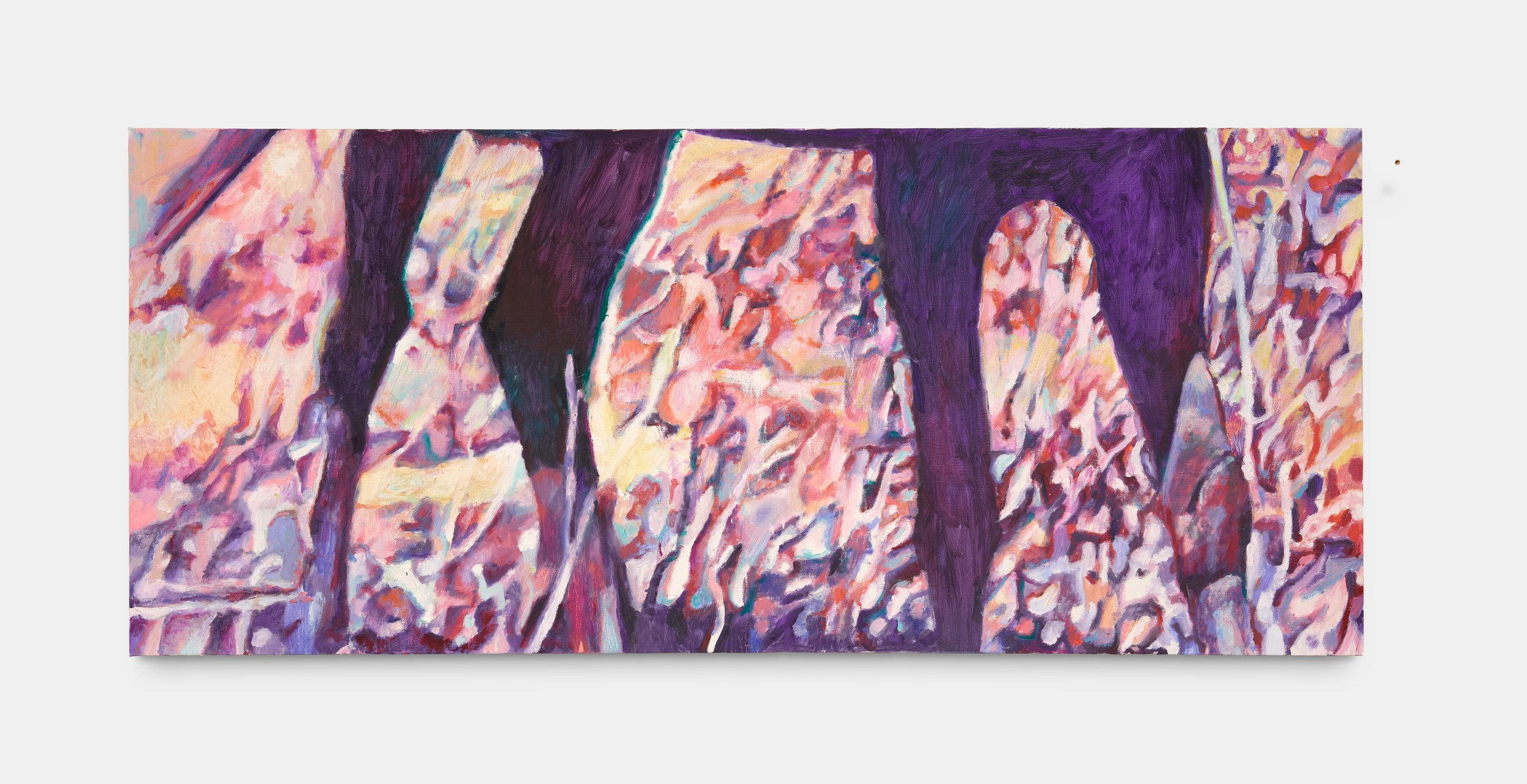 Donkey Buried under its Load