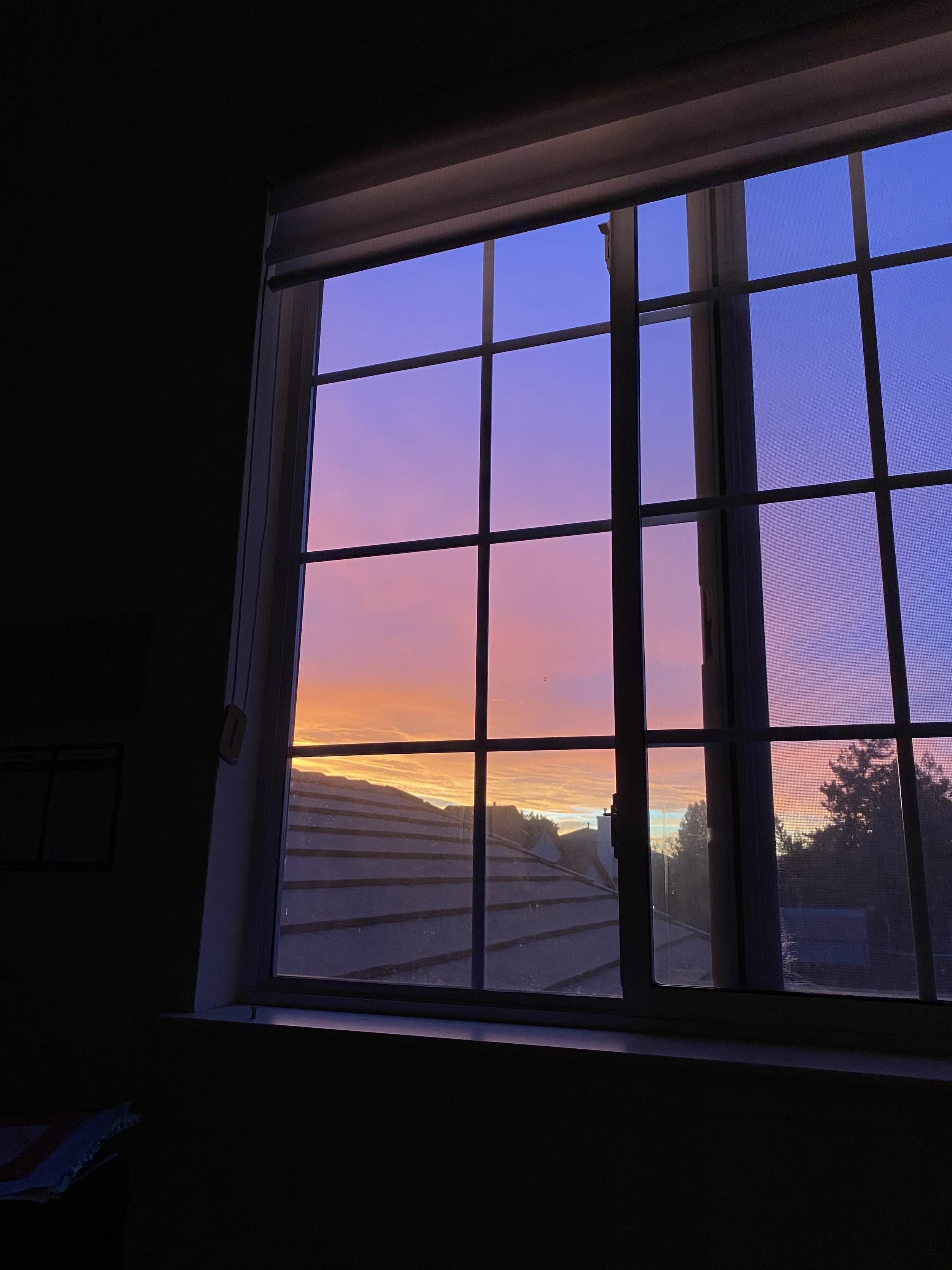 IMG_1431.jpeg