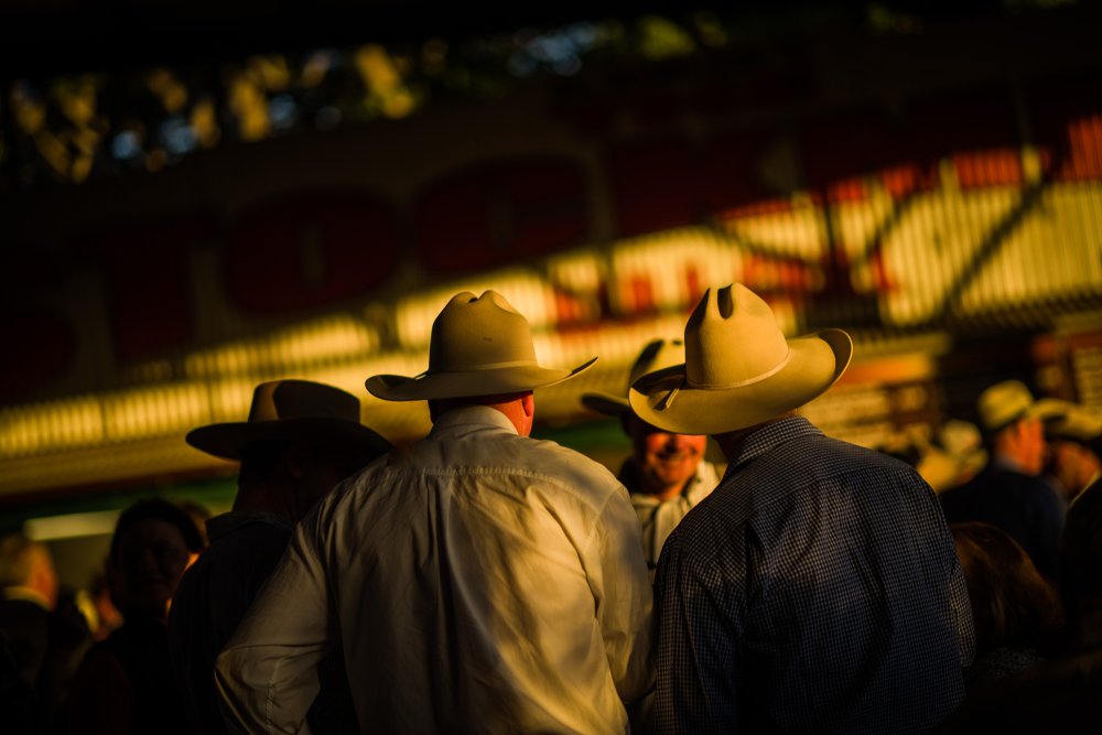 Criminal Charges During Stampede Week: Understanding Your Rights and Next Steps