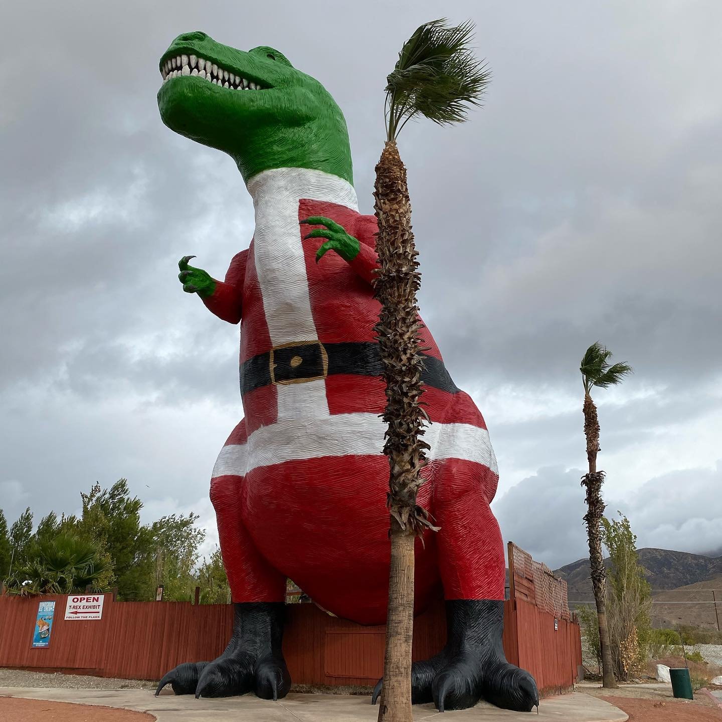 Frigid mornings in the desert and our Cabazon buddies look ready. 🦖🦕