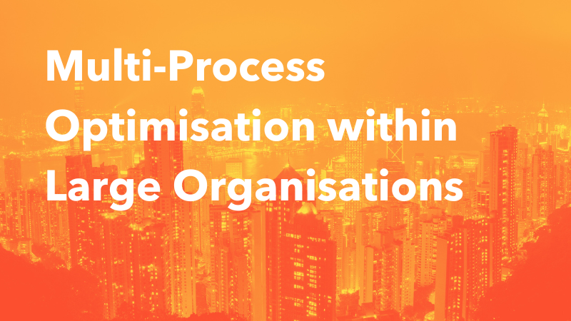 Multi-Process Optimisation within Large Organisations