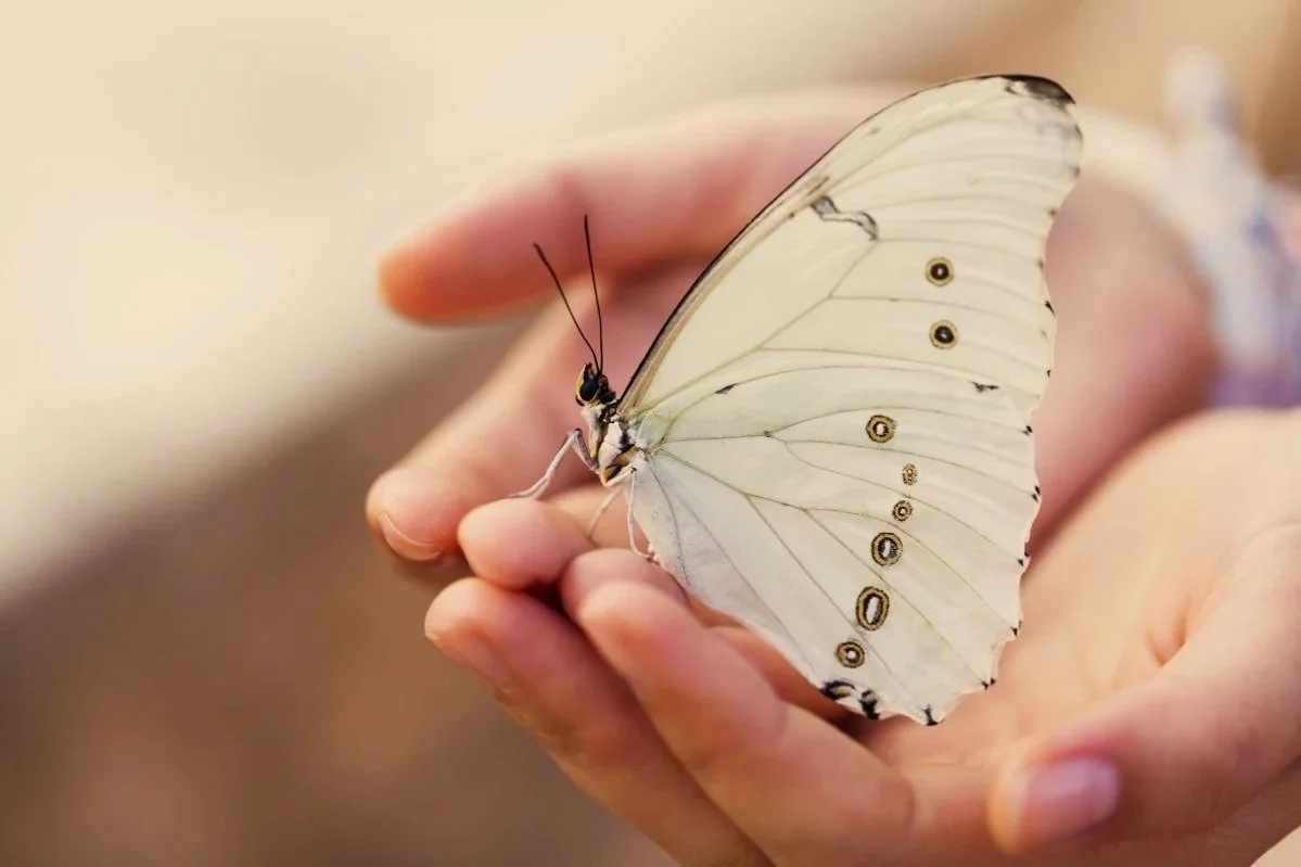 3 actividades cotidianas para liberarte del apego