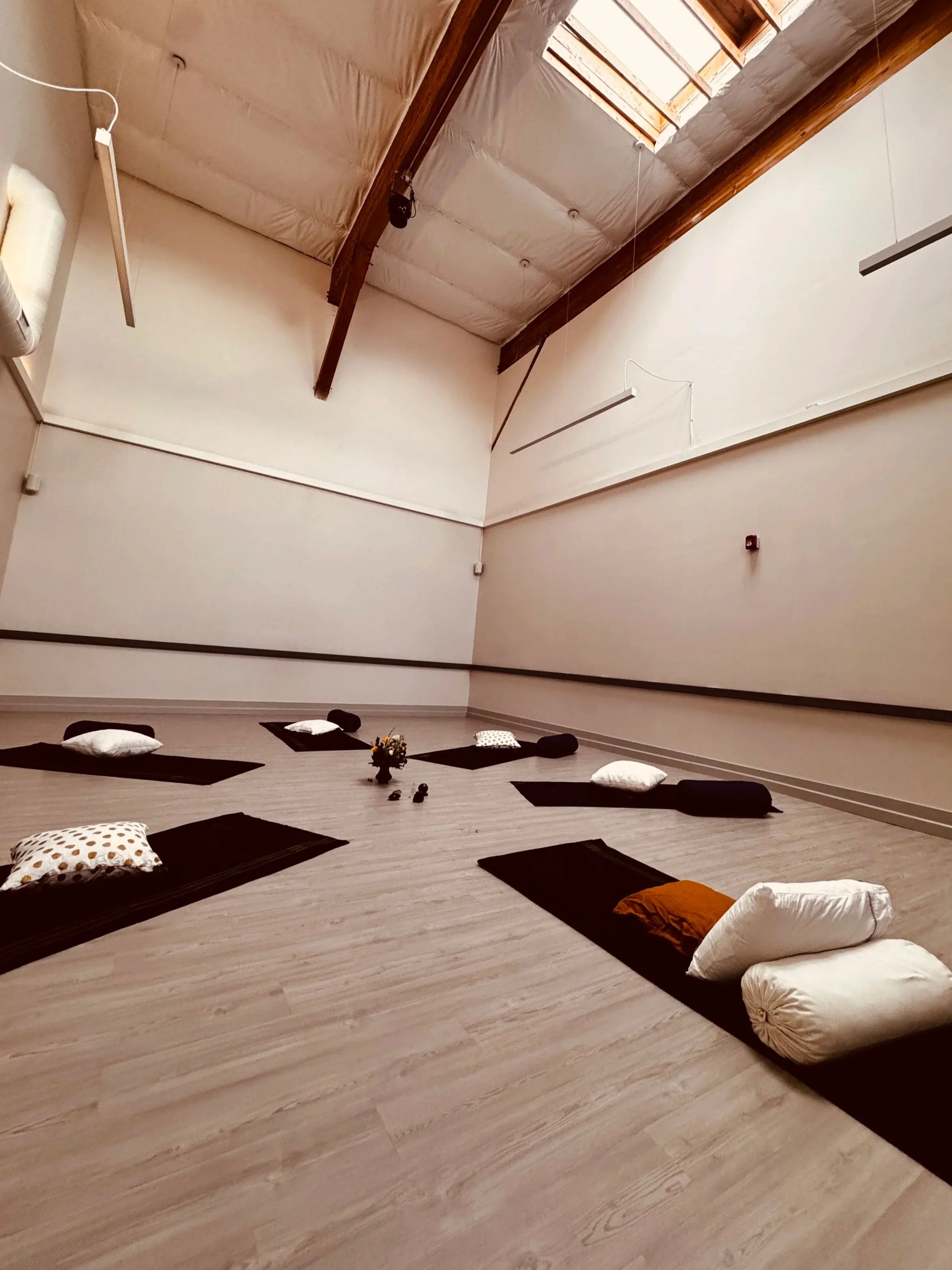 Neurodynamic Breathwork   Workshop (In-Person)