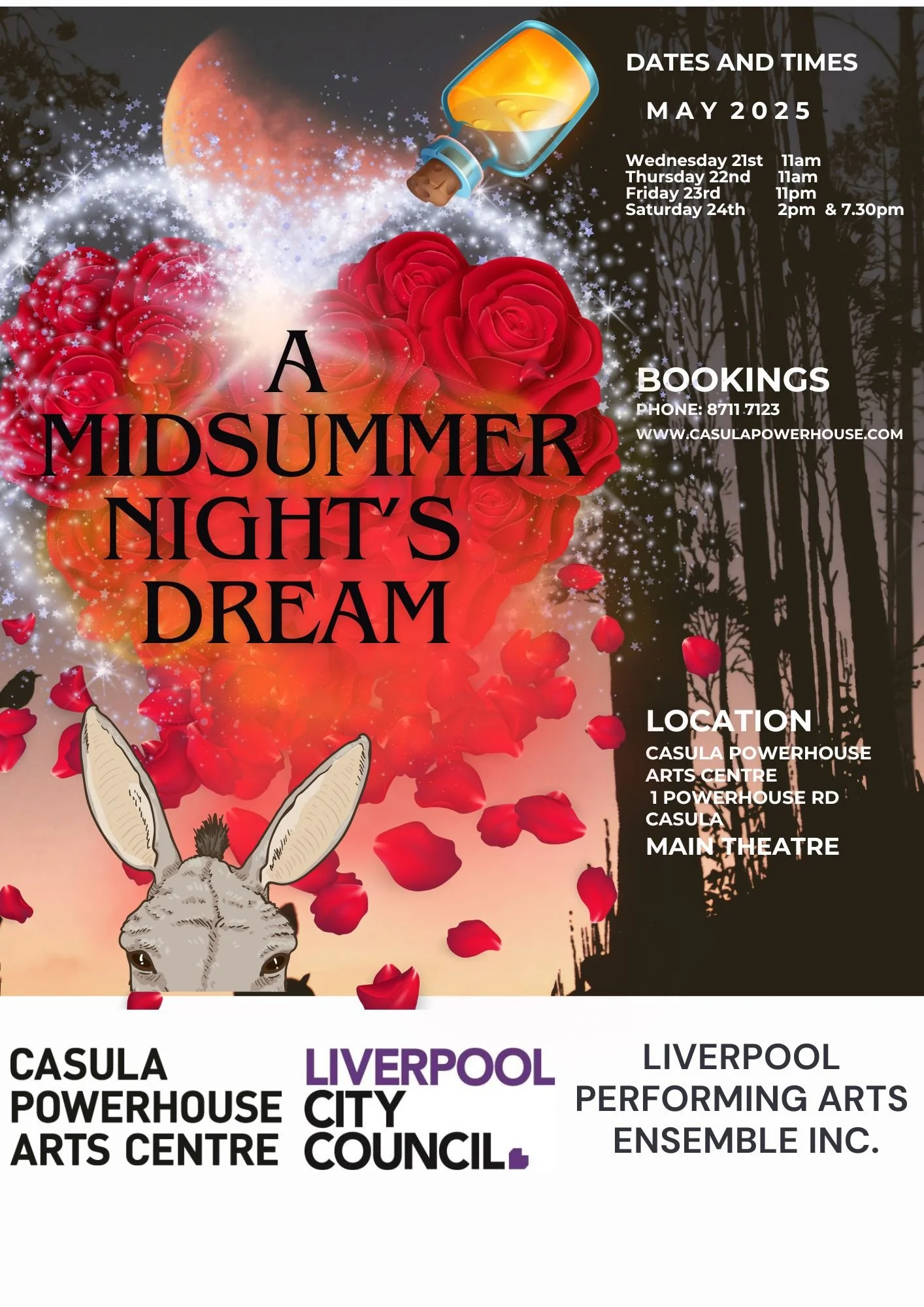 Dream for Liverpool Poster.jpeg