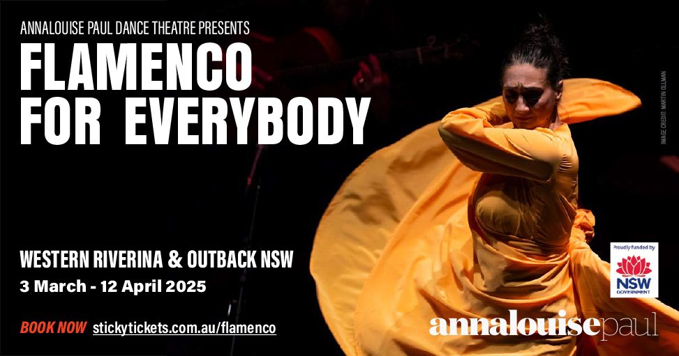 Flamenco-banner.jpg