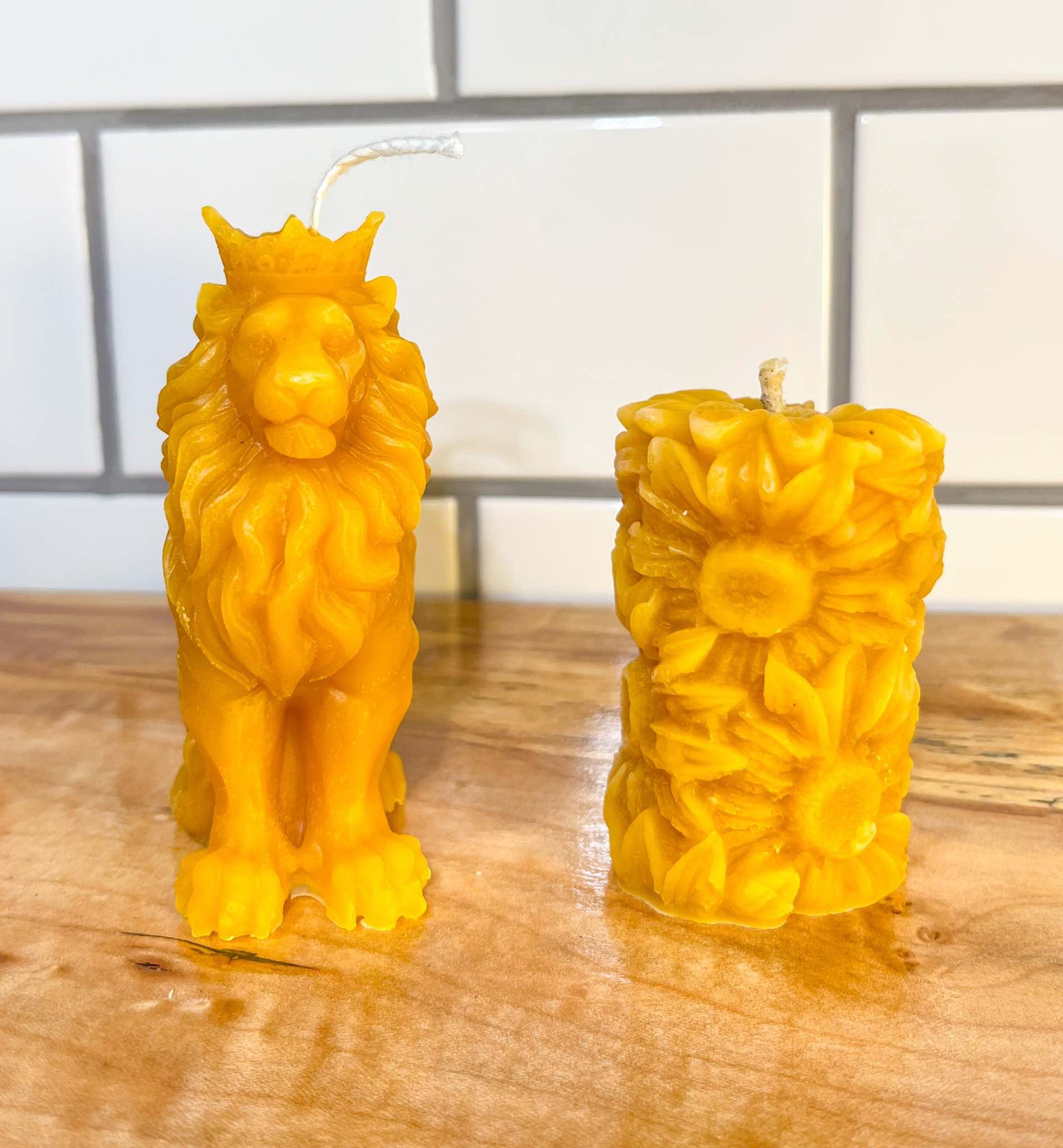 Lion and Sunflower3.jpg