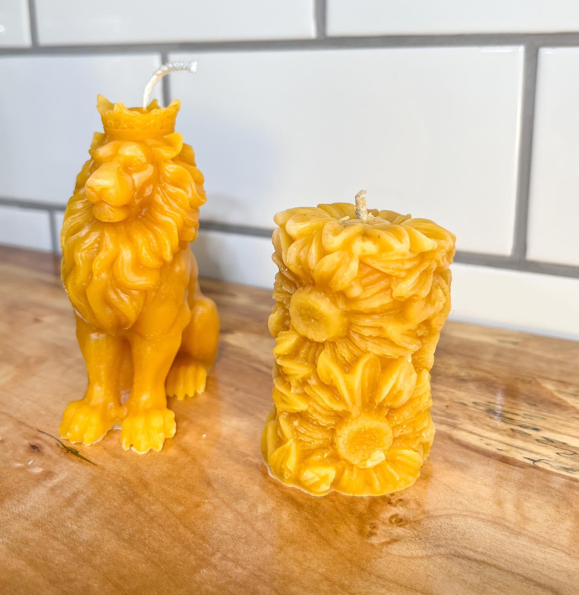 Lion and Sunflower.jpg