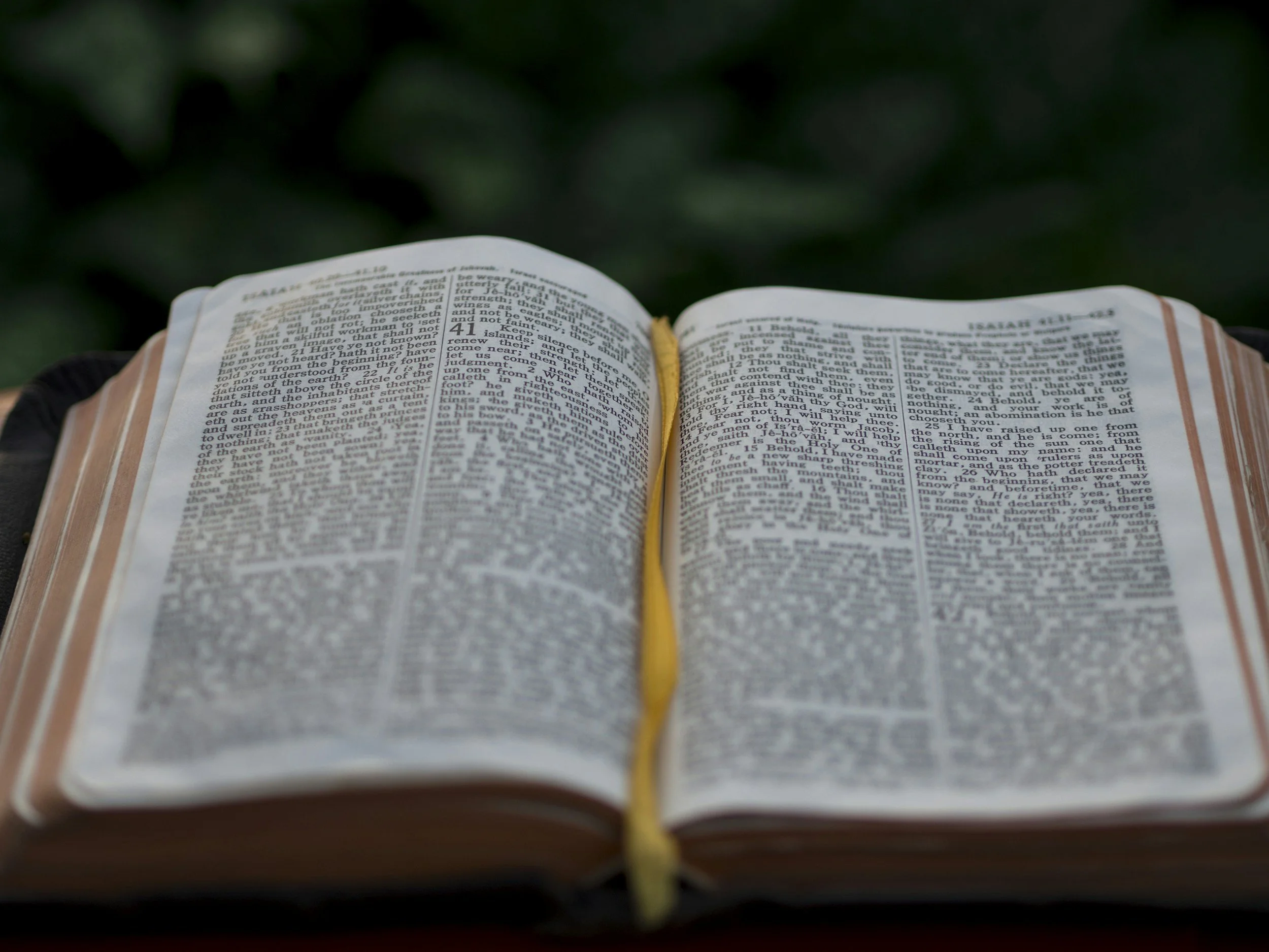 Neighborhood Bible study 