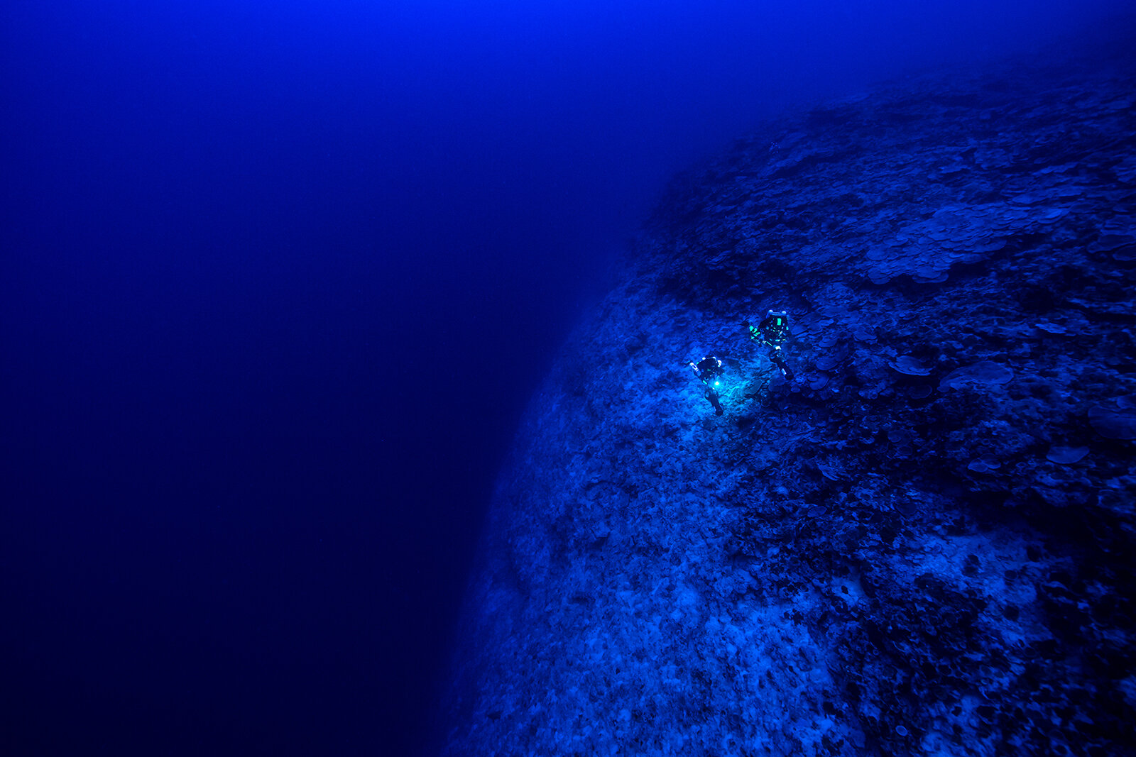 two deep divers are cruising alongside a giant drop 80m below the surface in the twilight zone