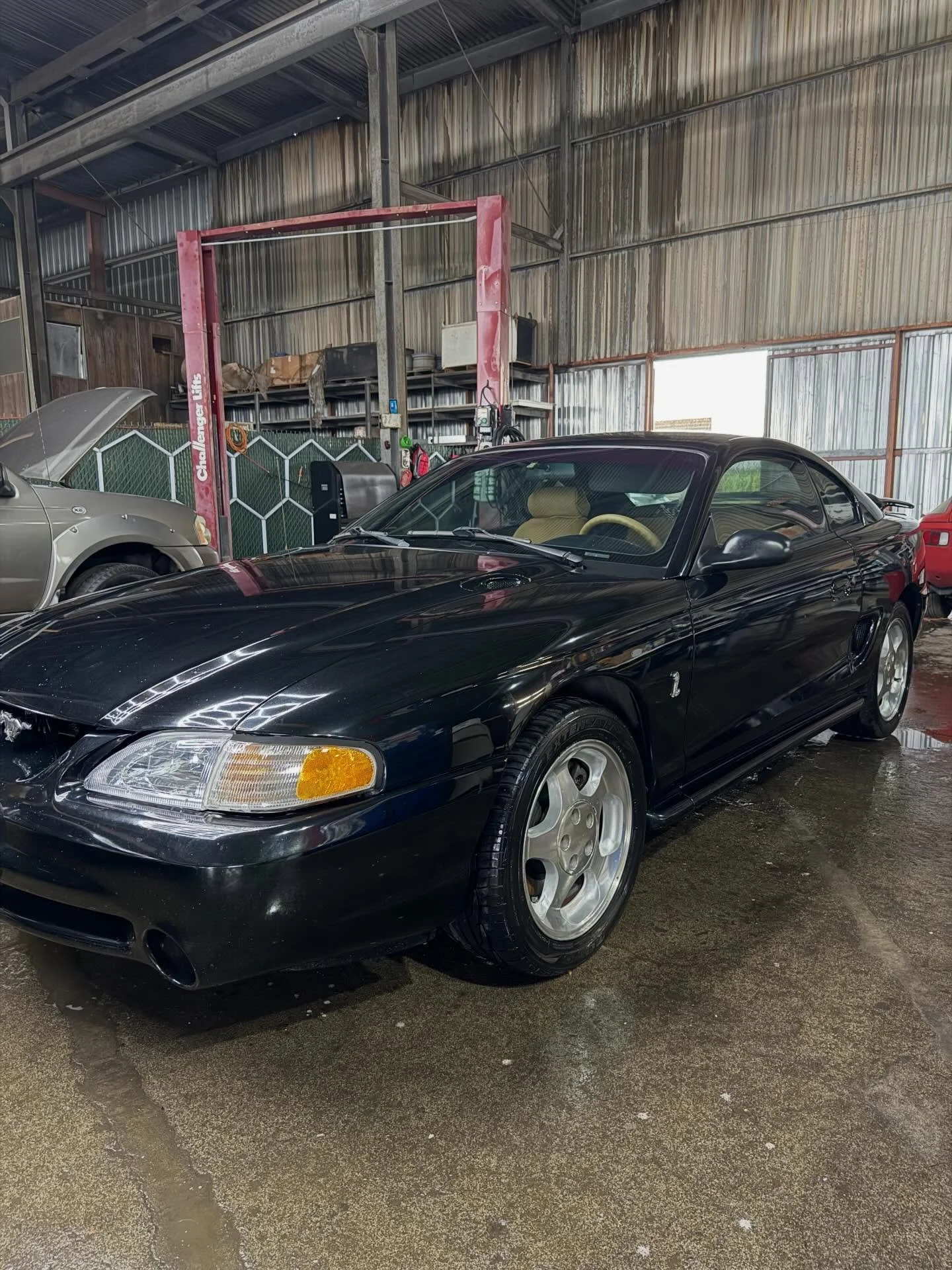 Nice Cobra 🐍 

#oahu #oahudetailers #urislanddetailer