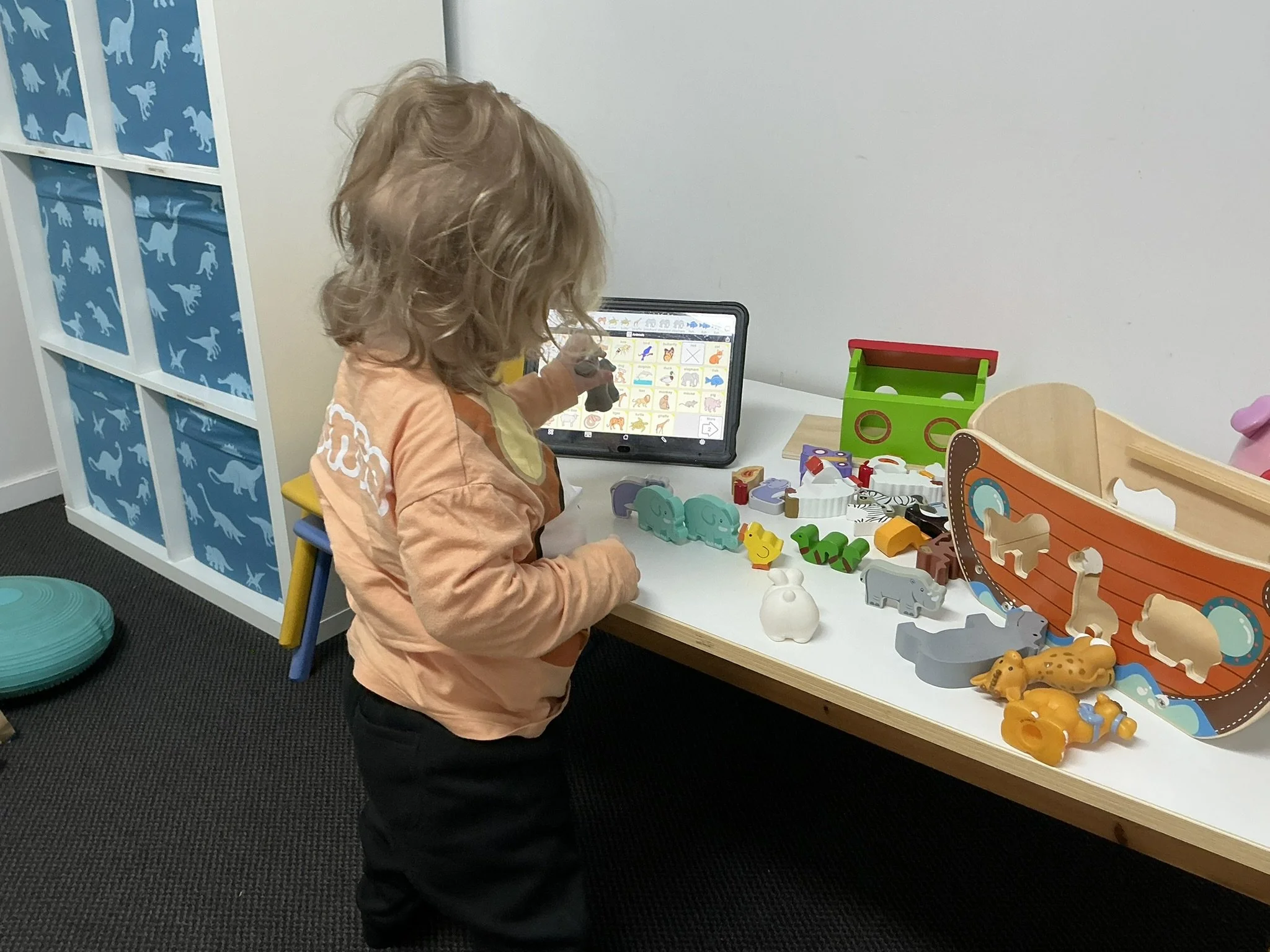 Paediatric speech pathologist supporting speech, language and communication development in a child