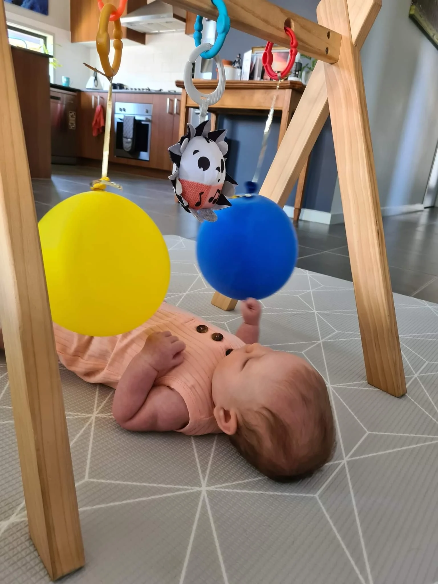 Paediatric allied health support for child development in Brendale