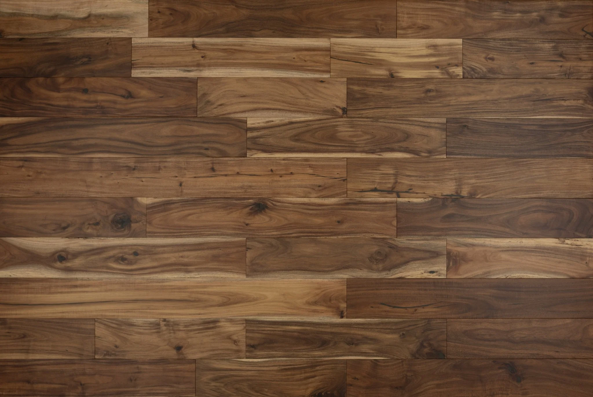 Small Leaf Acacia.jpg