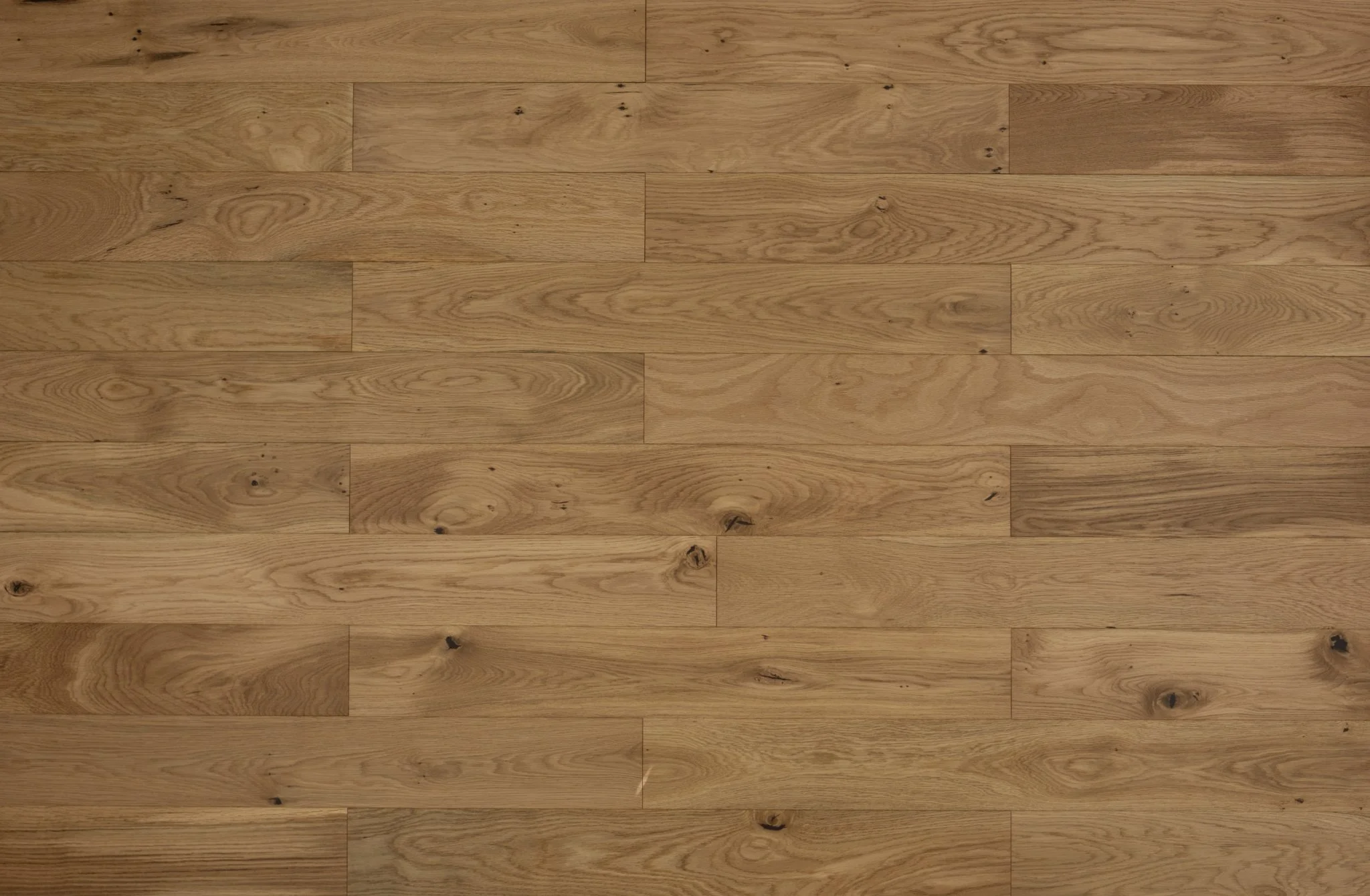 European White Oak.jpg