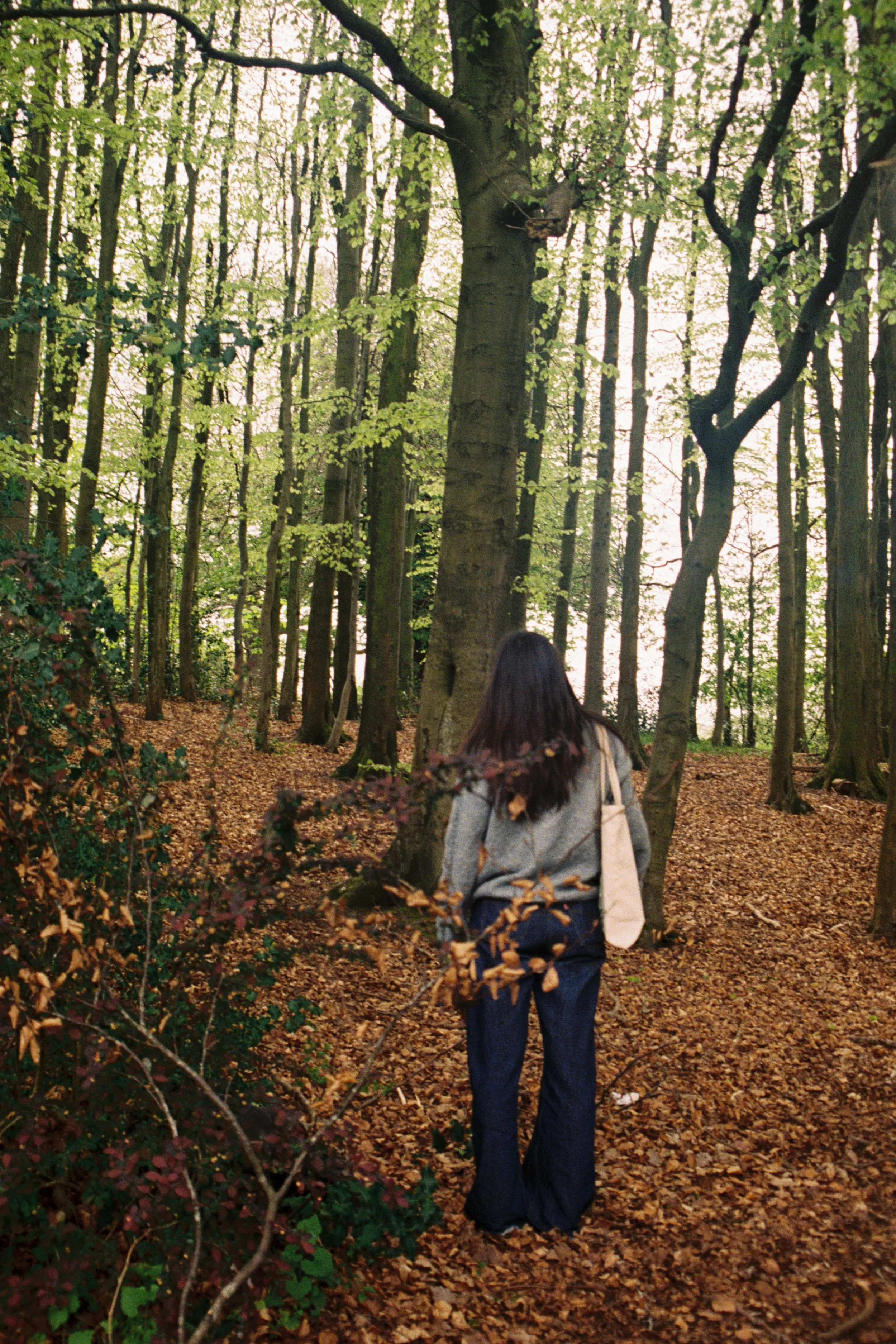 Roya in the forest.JPG