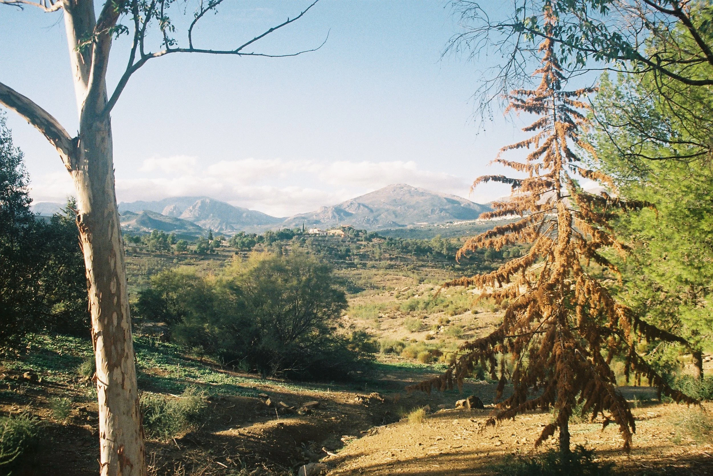 Views from Mt Viñuela.JPG