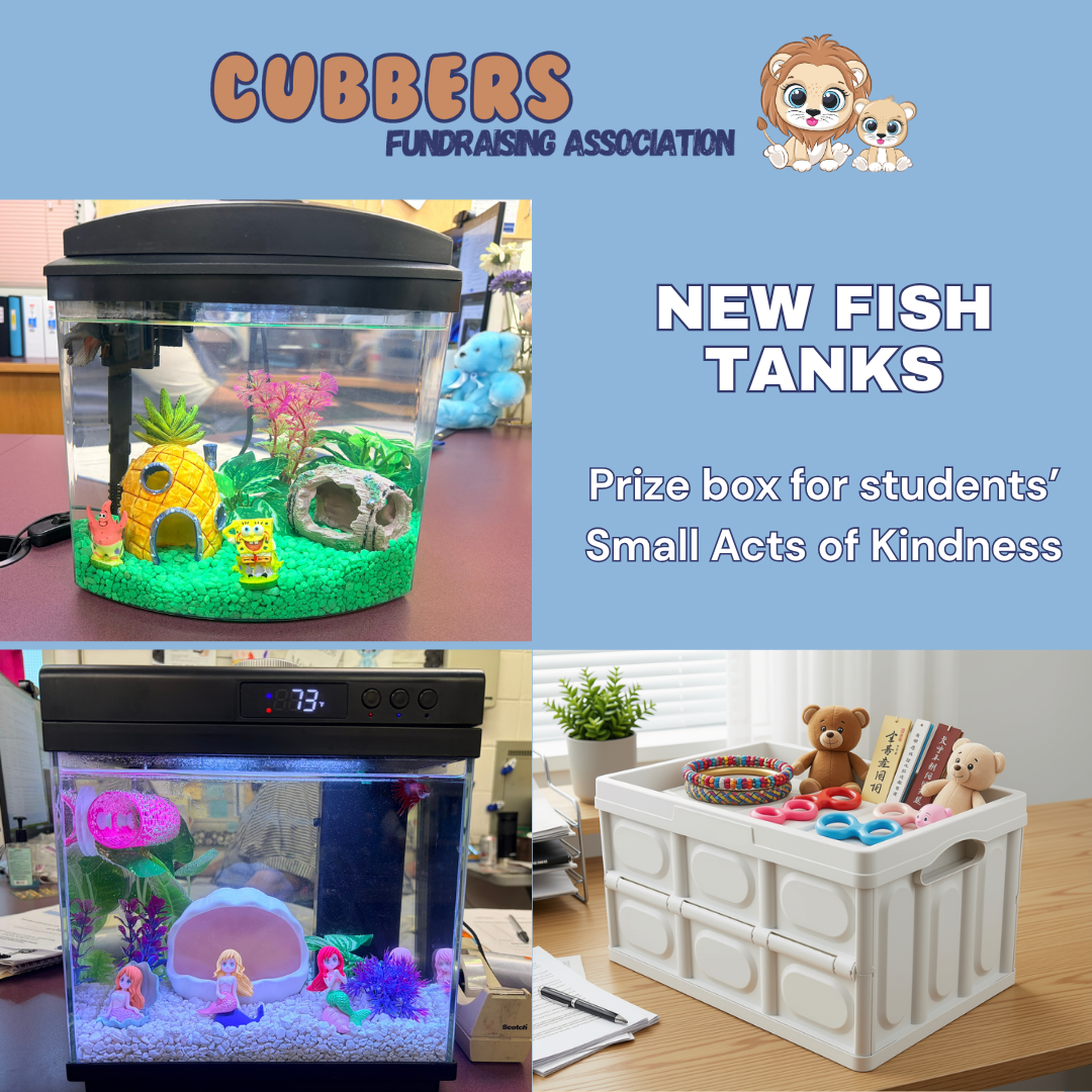 Fish Tanks & Prize Box