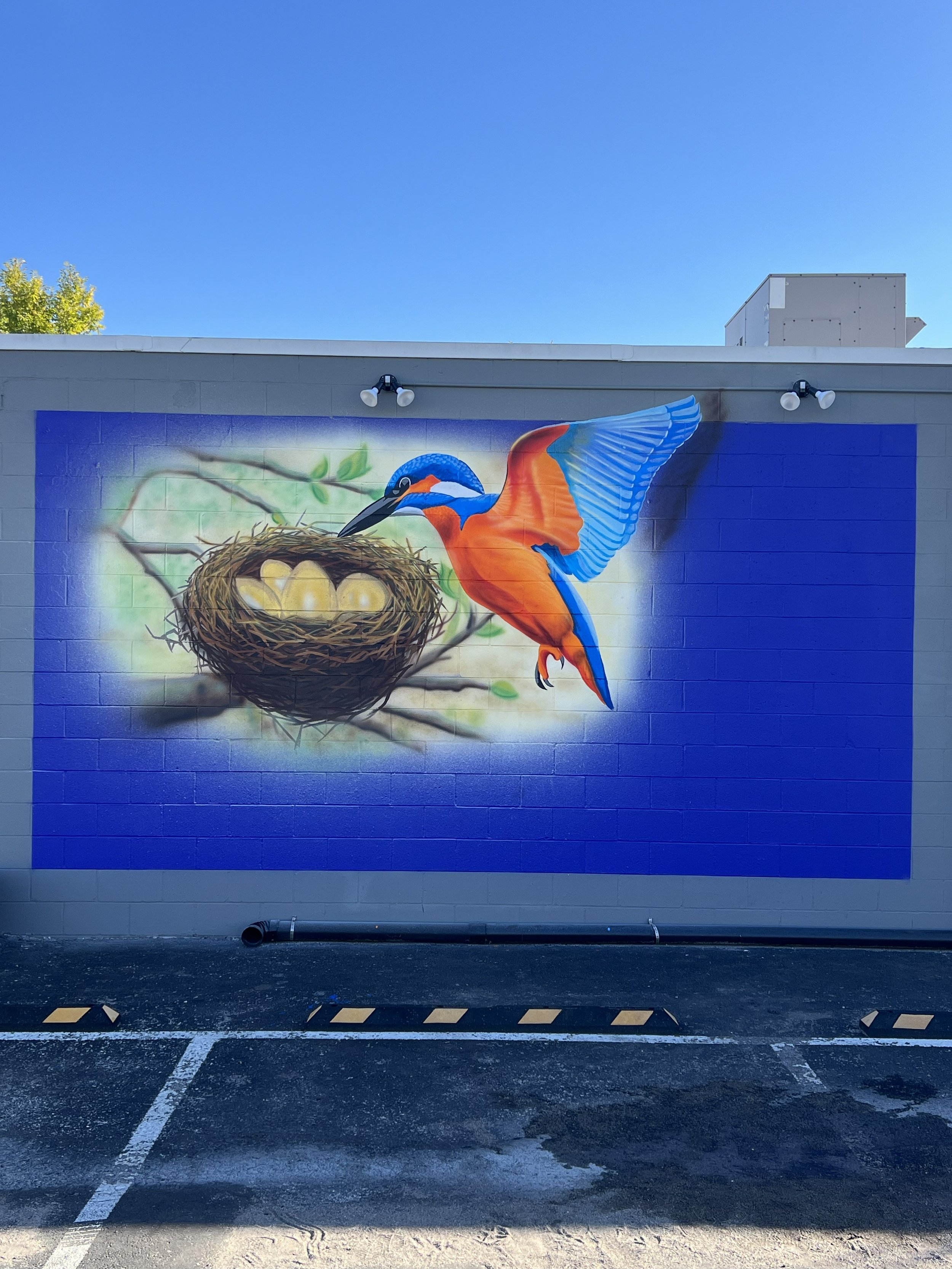 Transforming Raytown