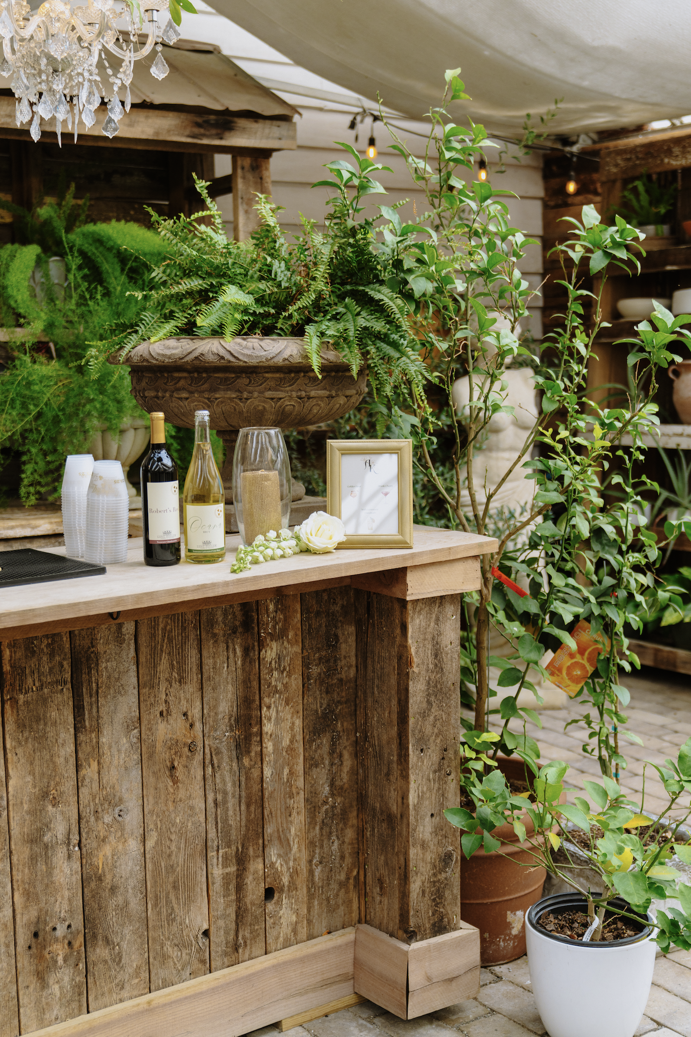 Screenshot 2026-02-27 at 11.36.34 AM.png