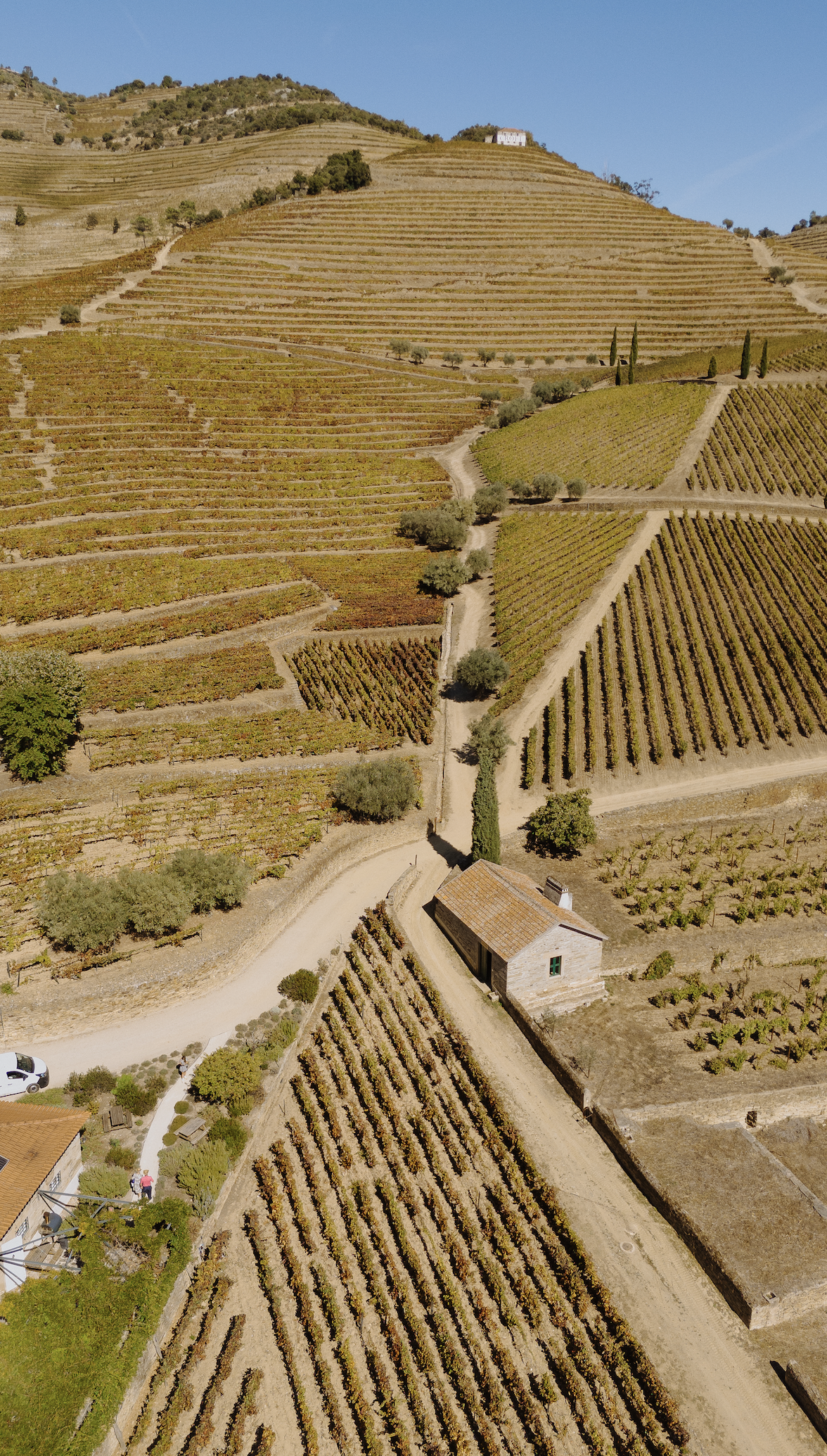 Screenshot 2026-02-19 at 1.11.57 PM.png