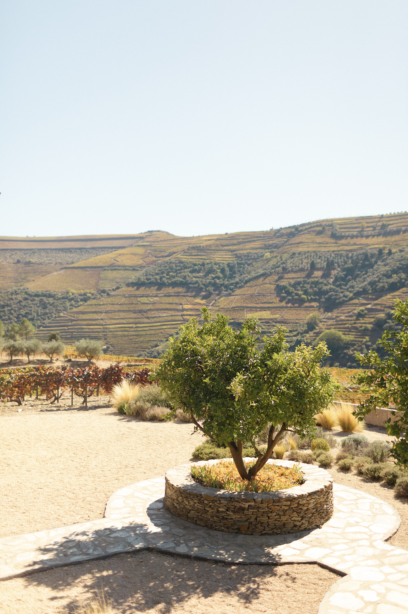 Screenshot 2026-02-19 at 1.11.45 PM.png