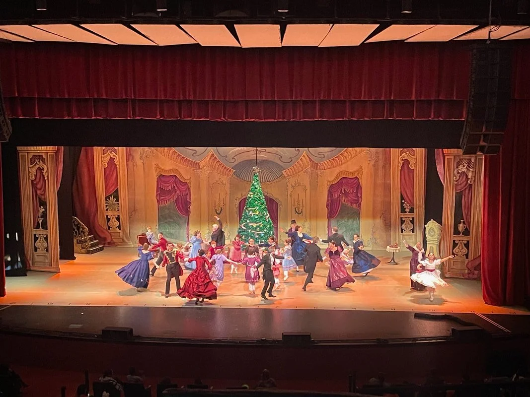 One Last Owl Blog Post for 2024!