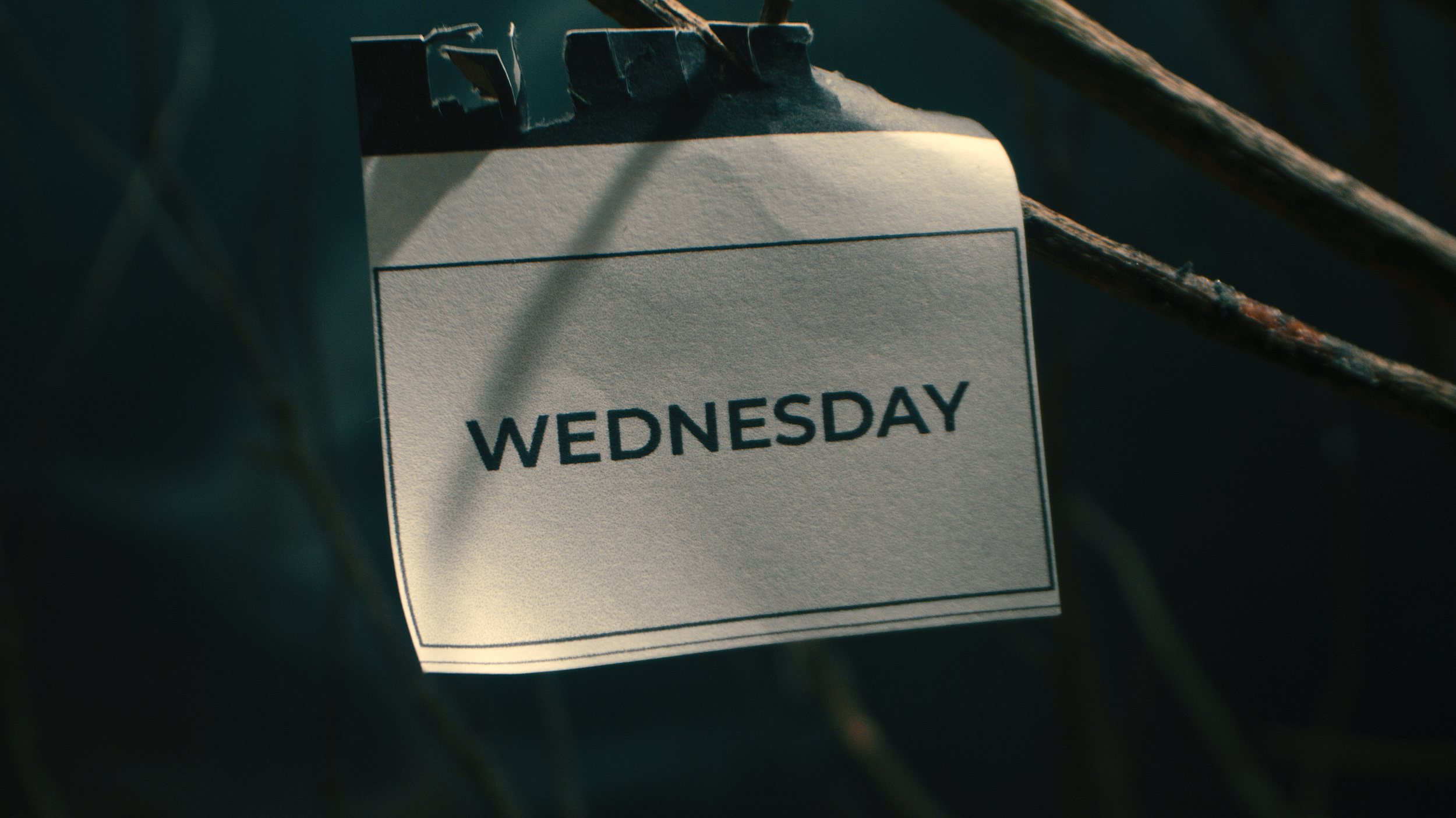 Arielle Shoshana_15V4.mov.01_00_19_13.Still001.png