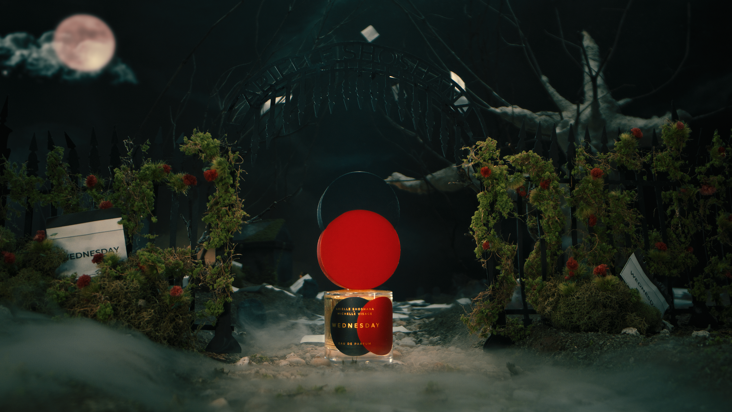 Arielle Shoshana_15V4.mov.01_00_32_07.Still003.png