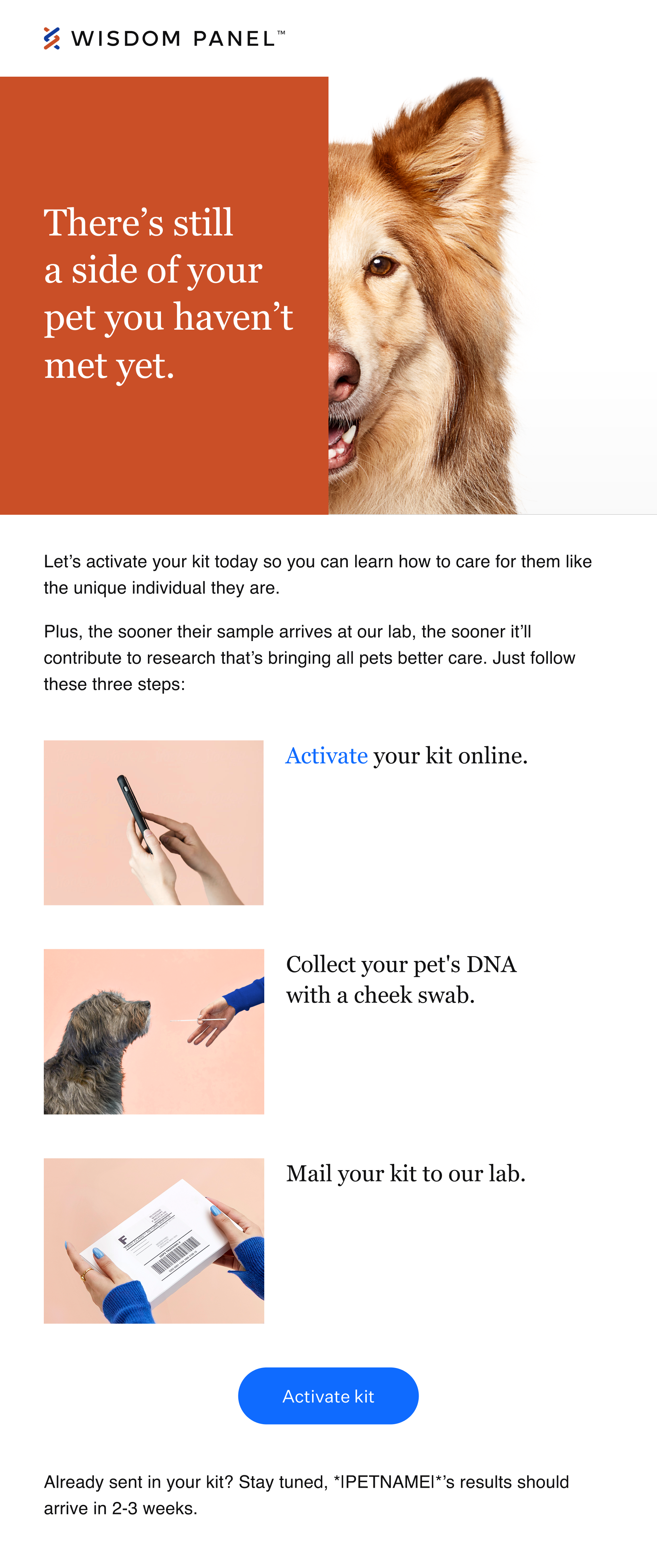customer-transactional-1-desktop (1).png