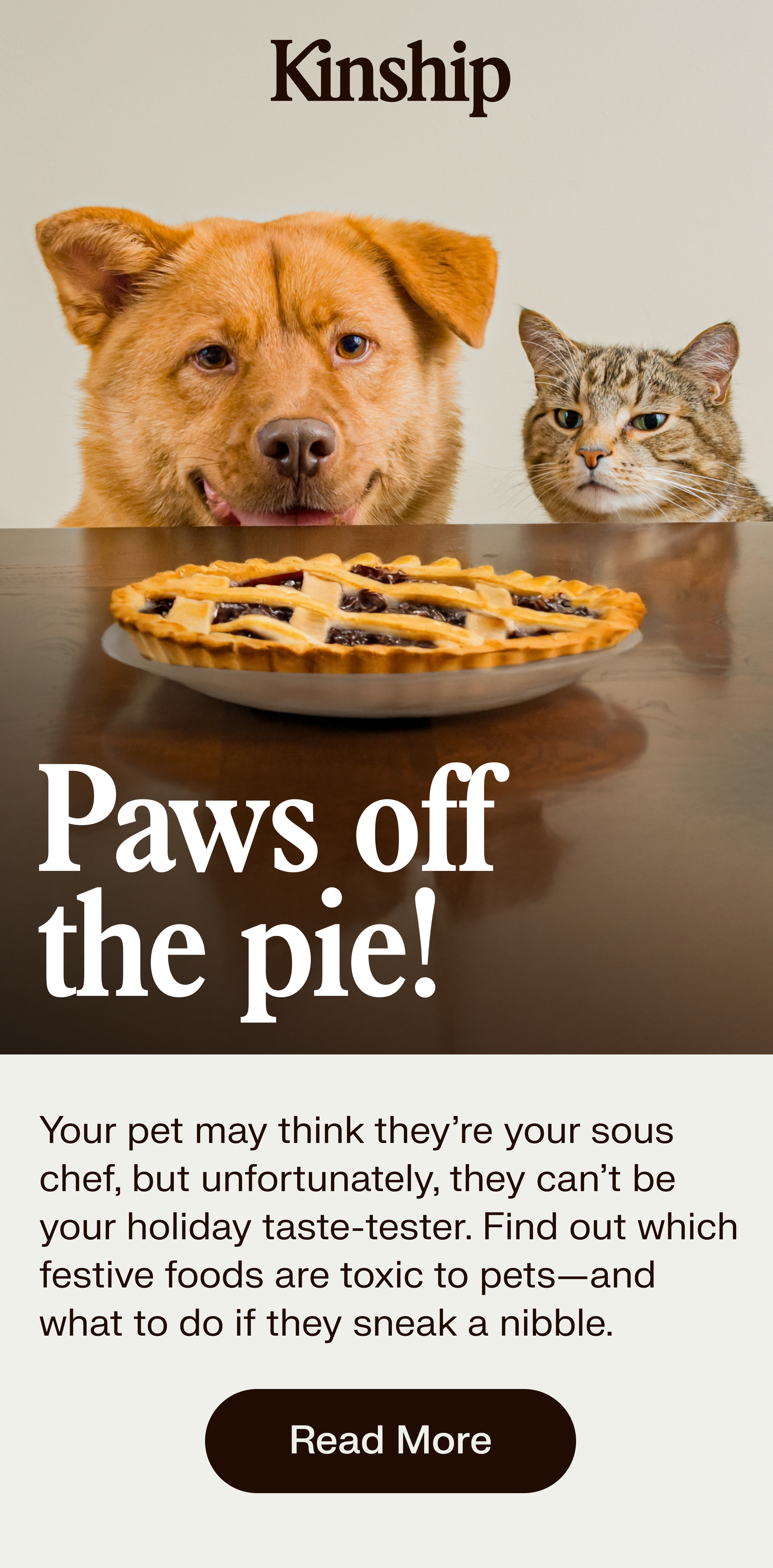 paws-off-pie.png