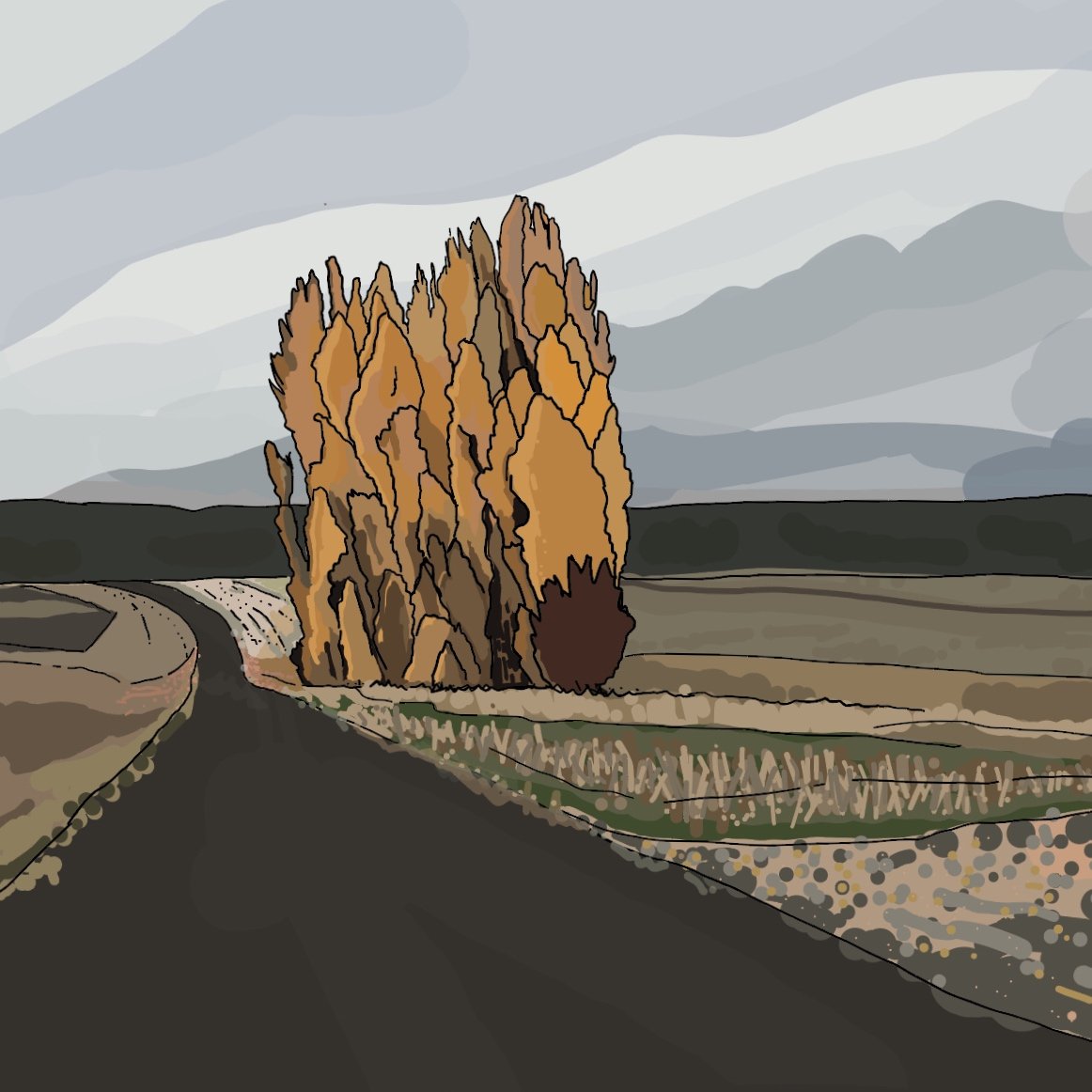 Illustration of Winter colours in country Victoria.