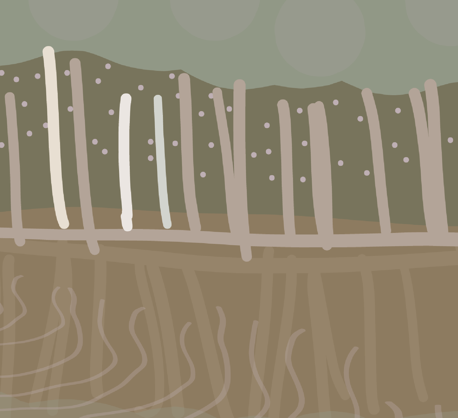 Mangroves_Close Up.png