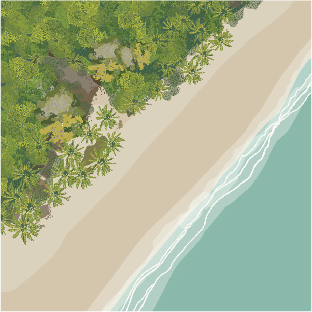 Where the rainforest meets the Sea - A culturally significant place for Far North Queensland Djiru people - Sea Country.