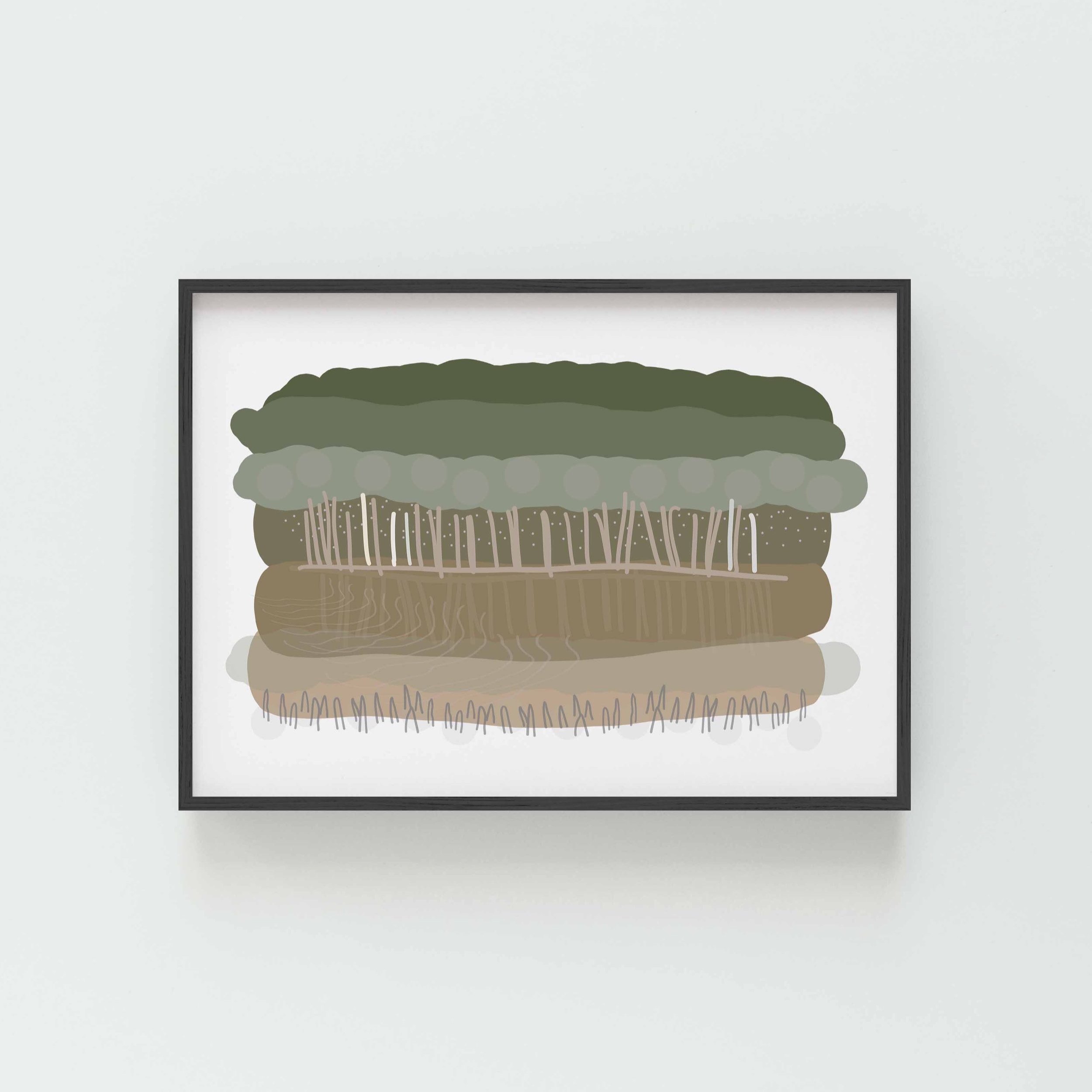 Mangroves.jpg